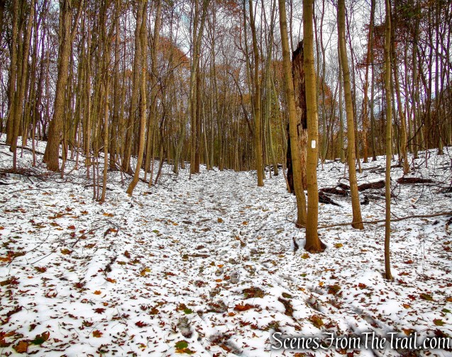 White Trail - McAndrews Estate