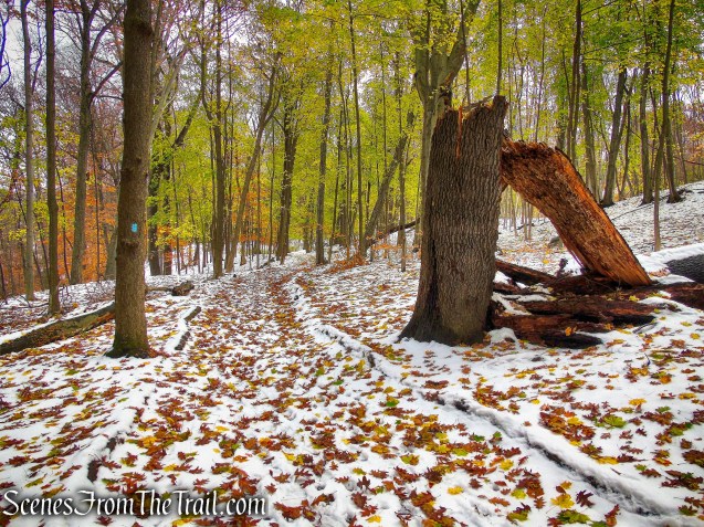 Blue Trail - McAndrews Estate