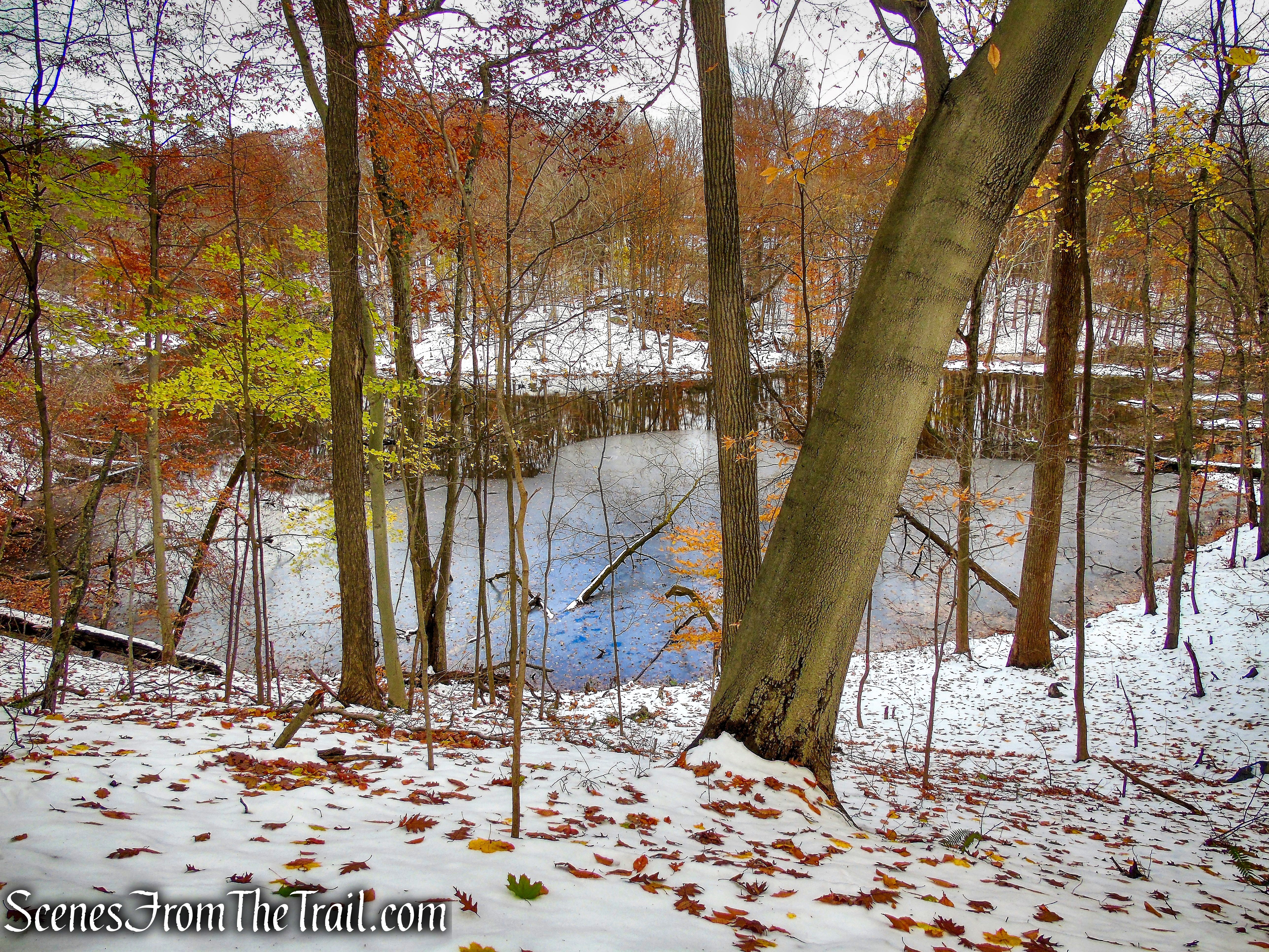 Blue Trail - McAndrews Estate