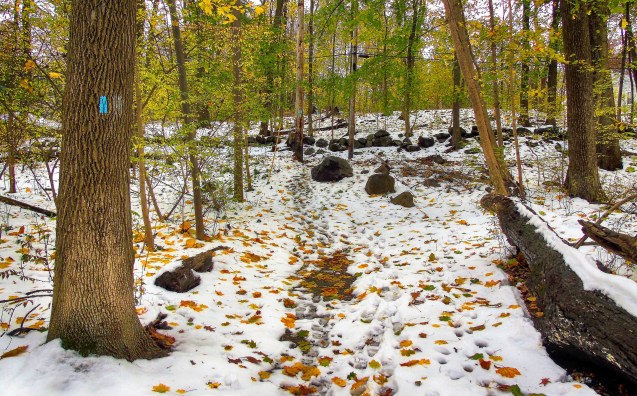 Blue Trail - McAndrews Estate