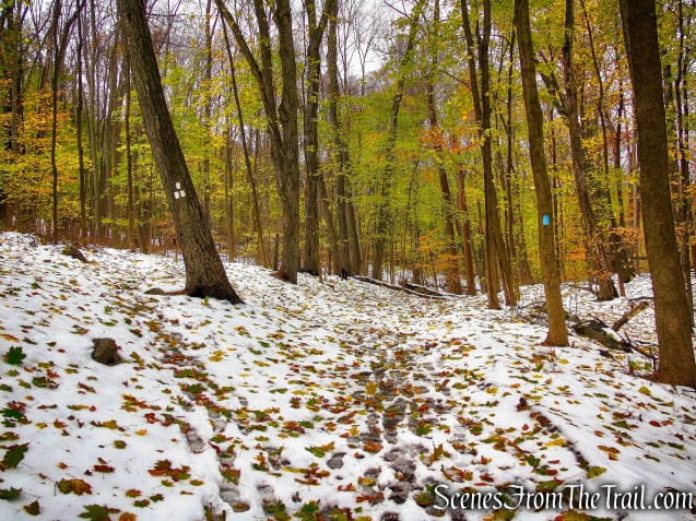 junction of White Trail and Blue Trail