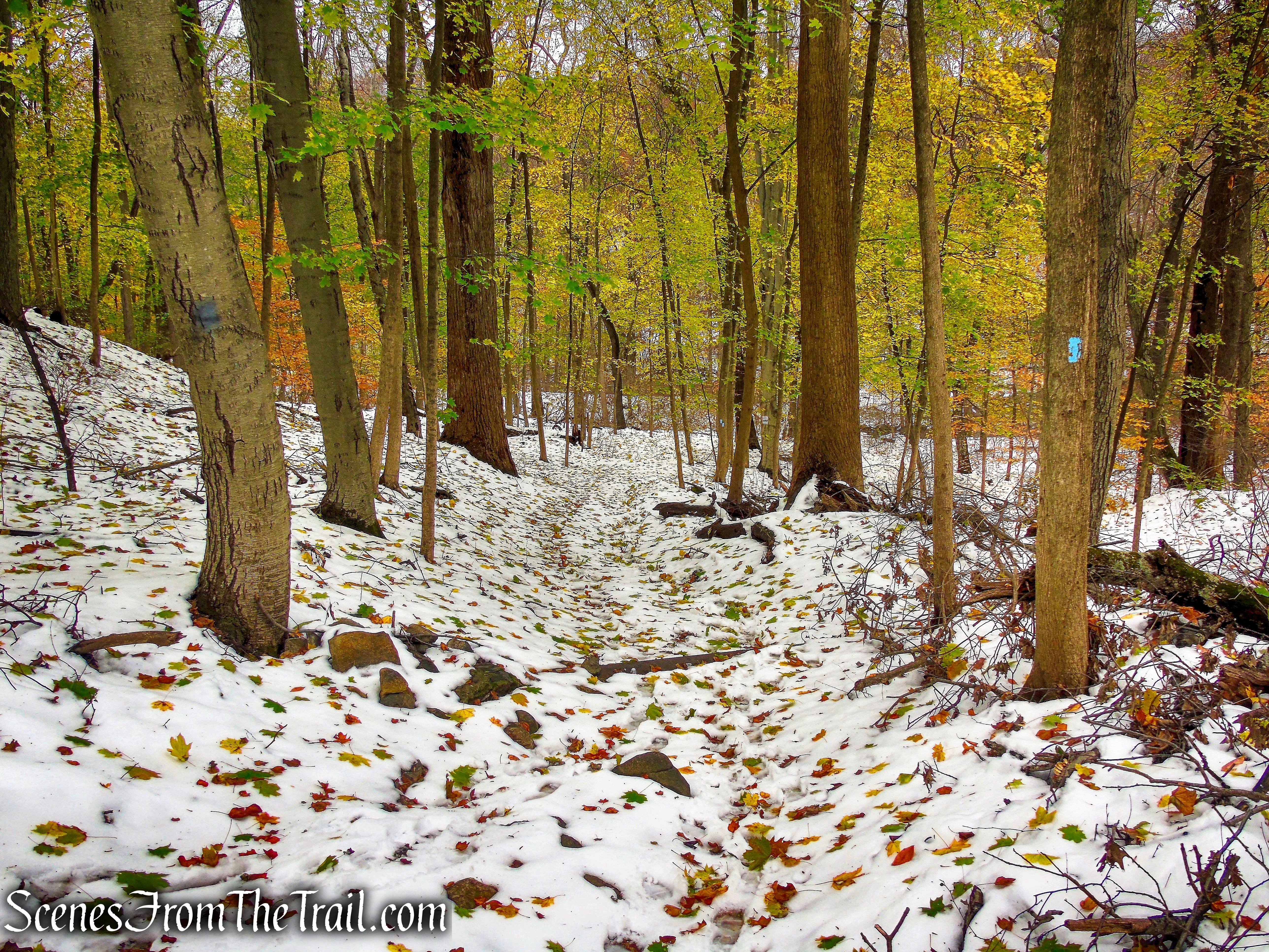 Blue Trail - McAndrews Estate