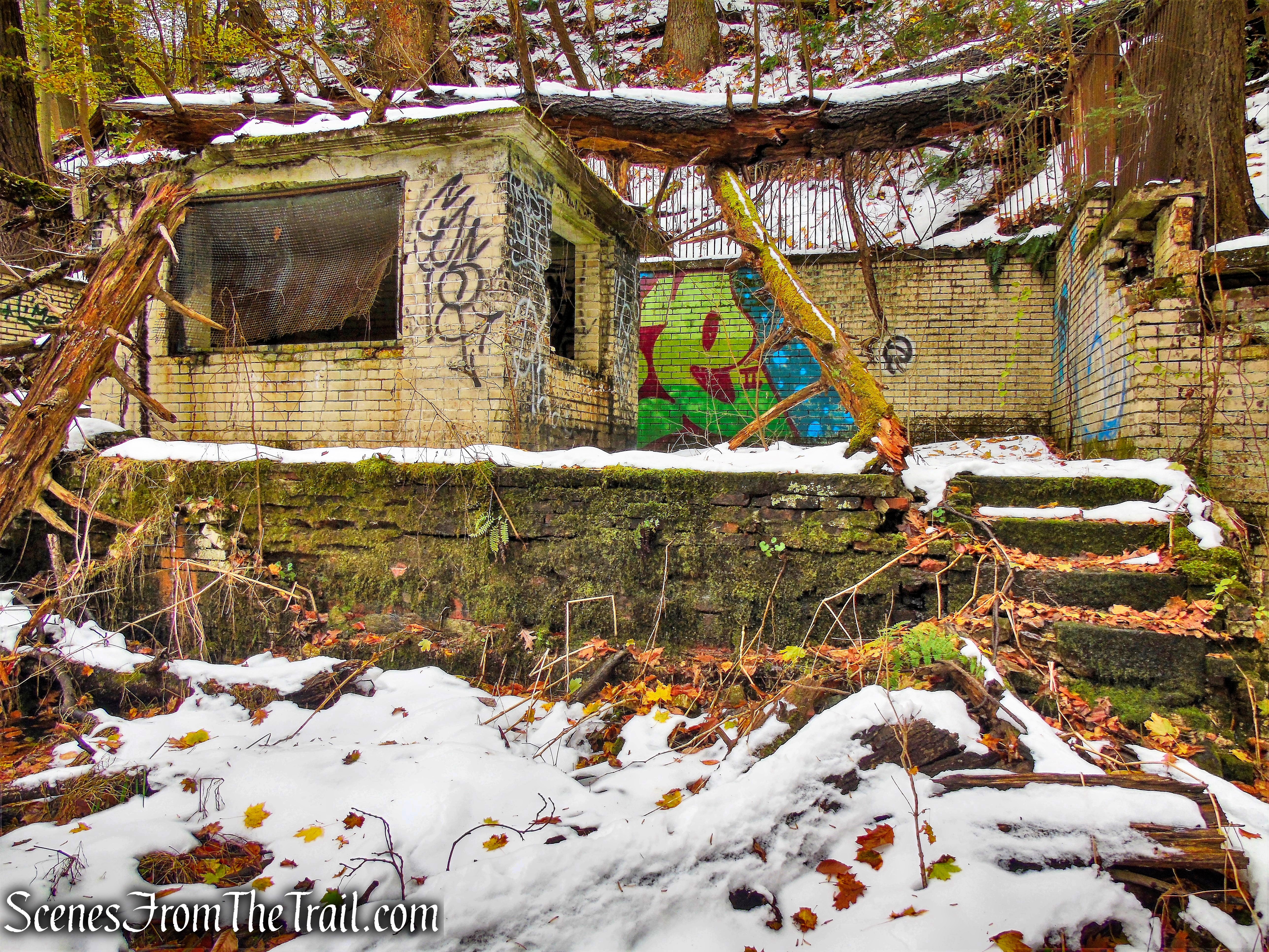 Fish House Spring