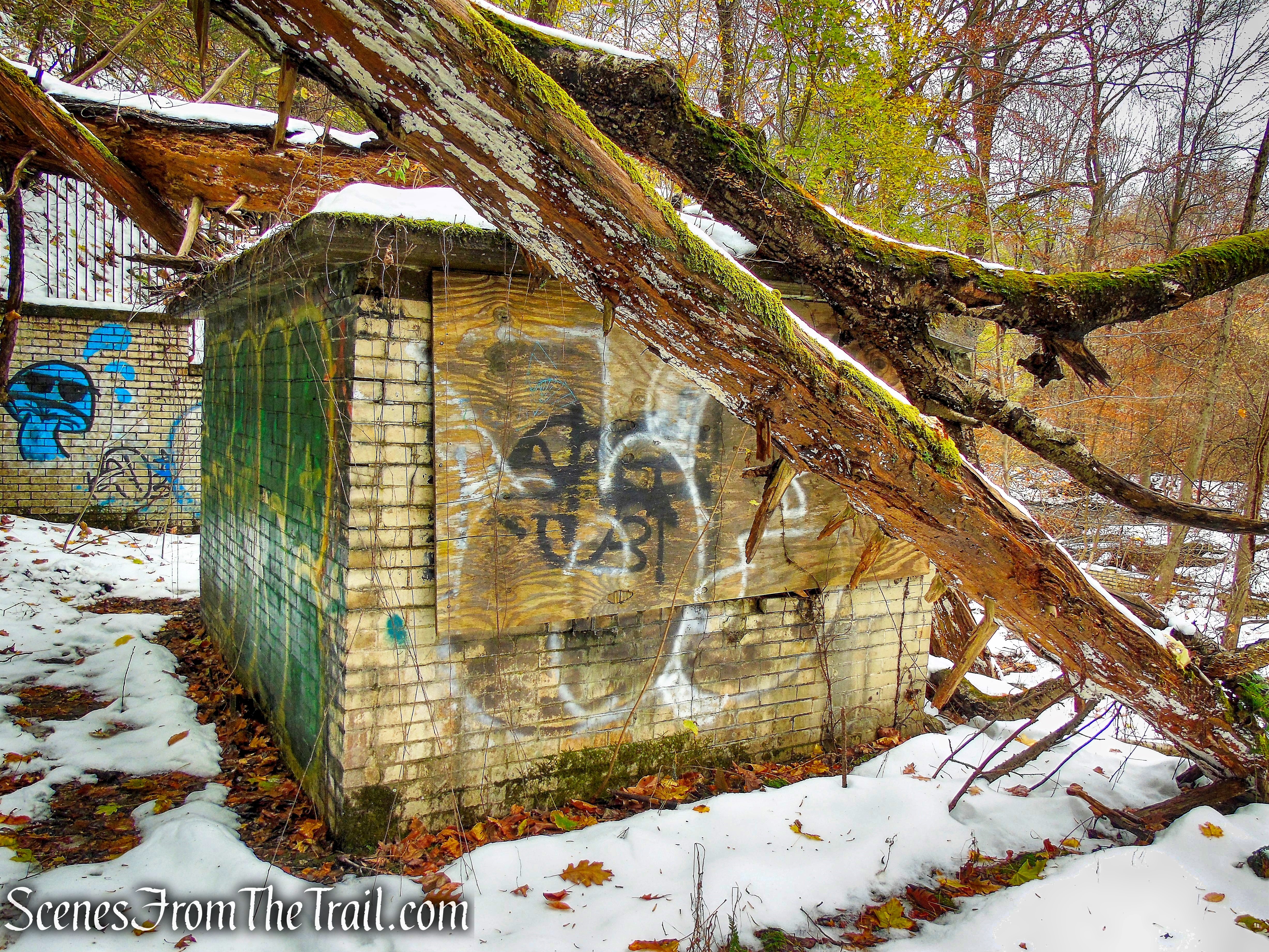 Fish House Spring