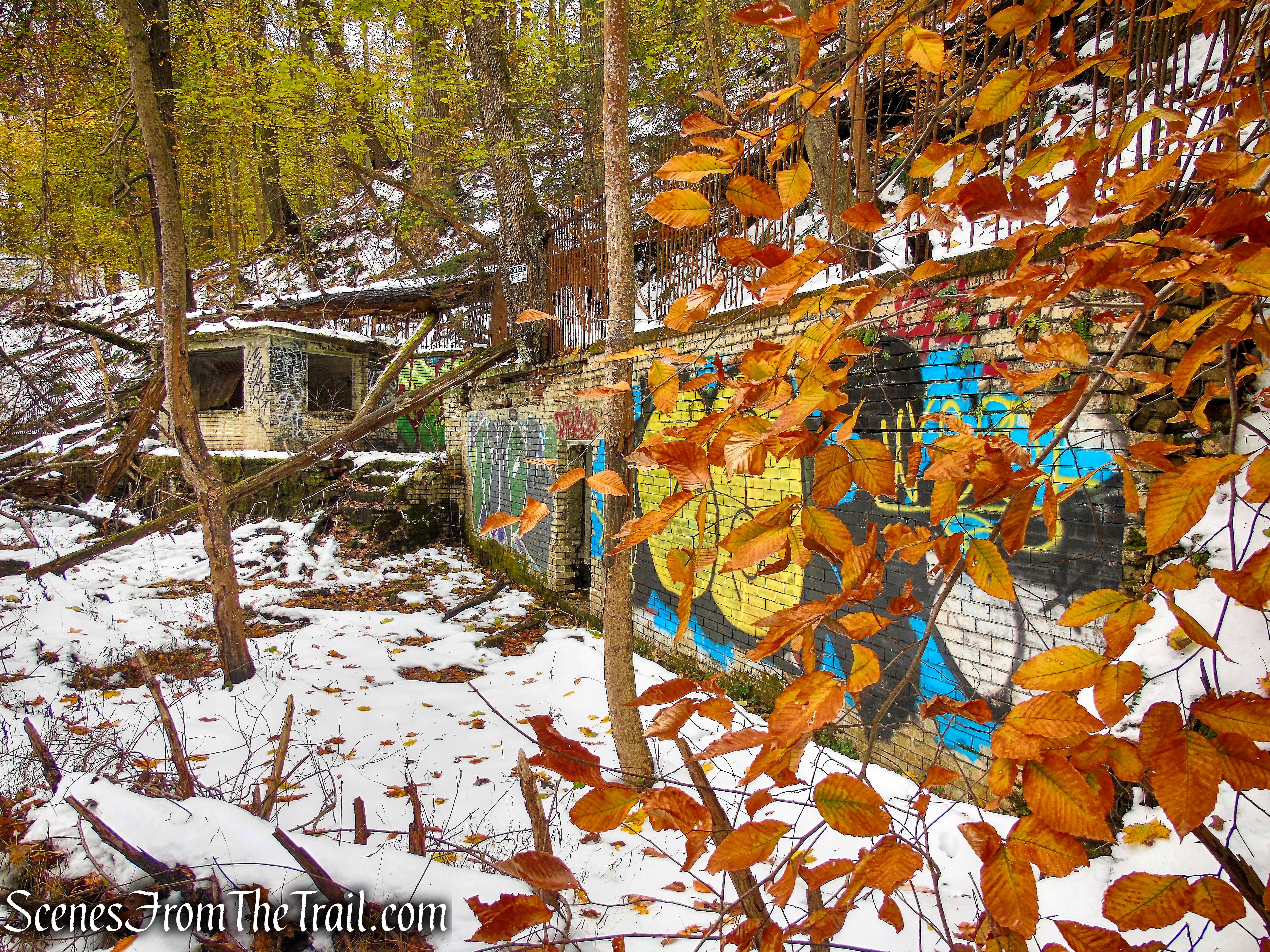 Fish House Spring