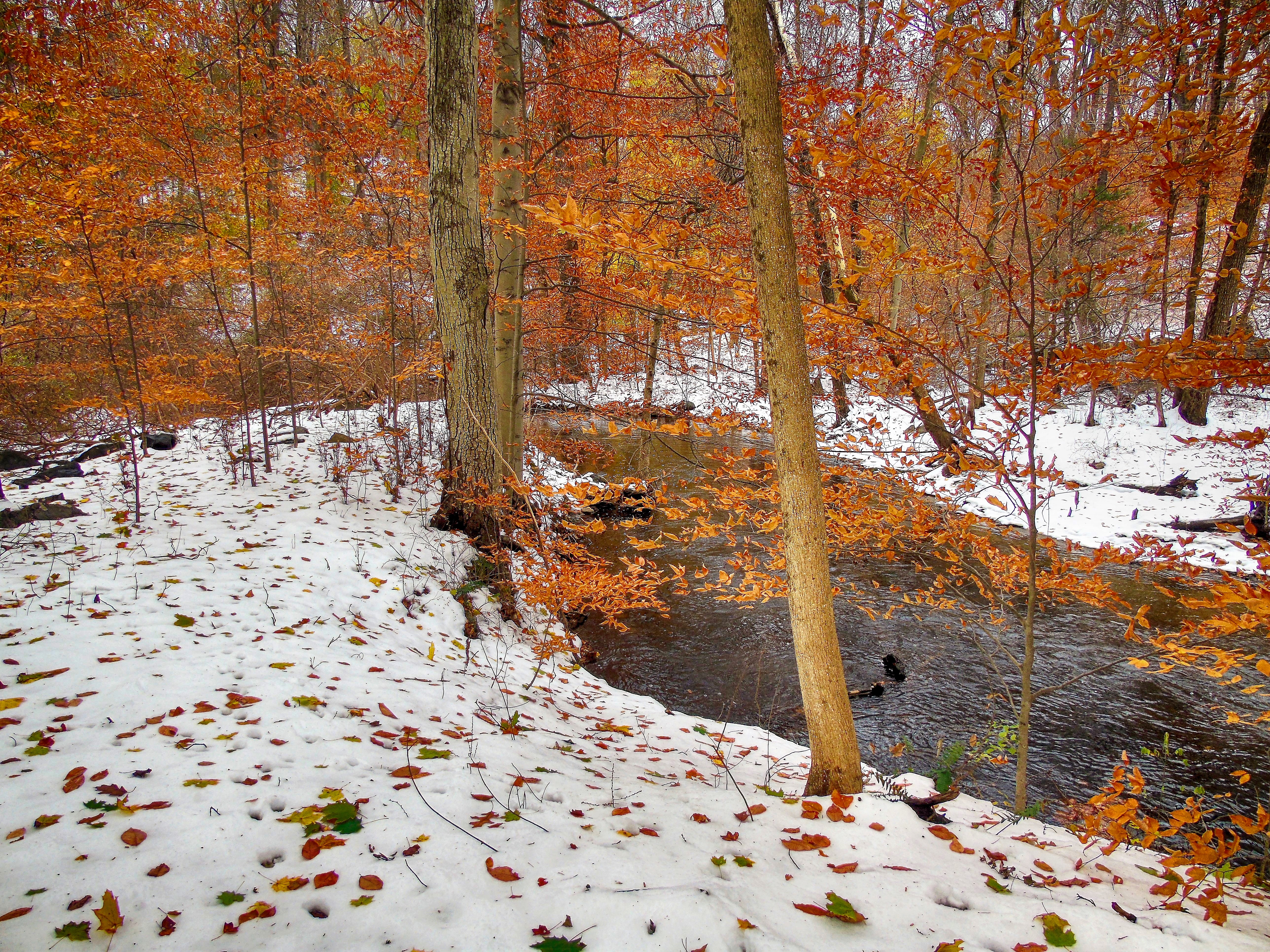 Furnace Brook - McAndrews Estate