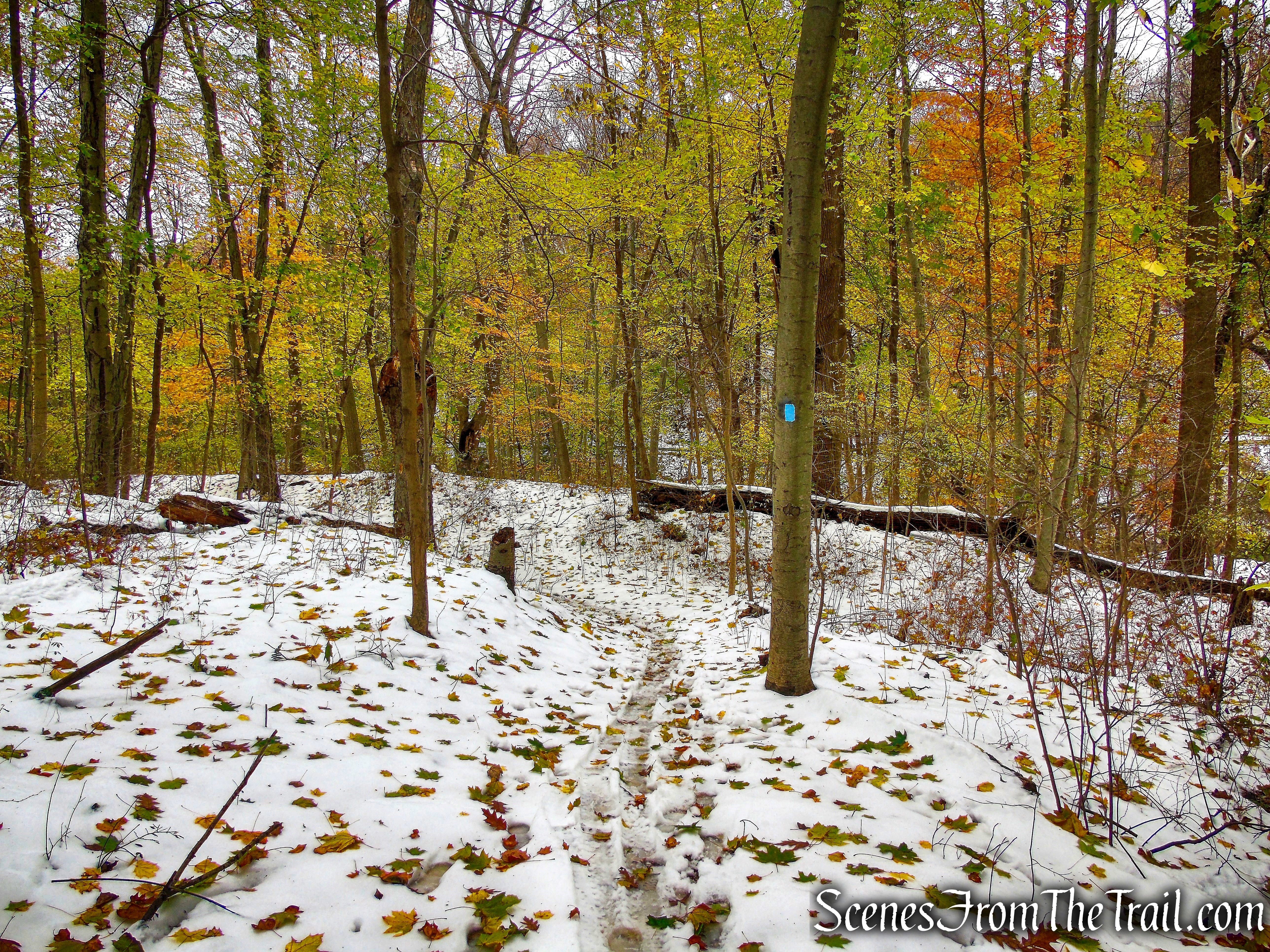 Blue Trail - McAndrews Estate