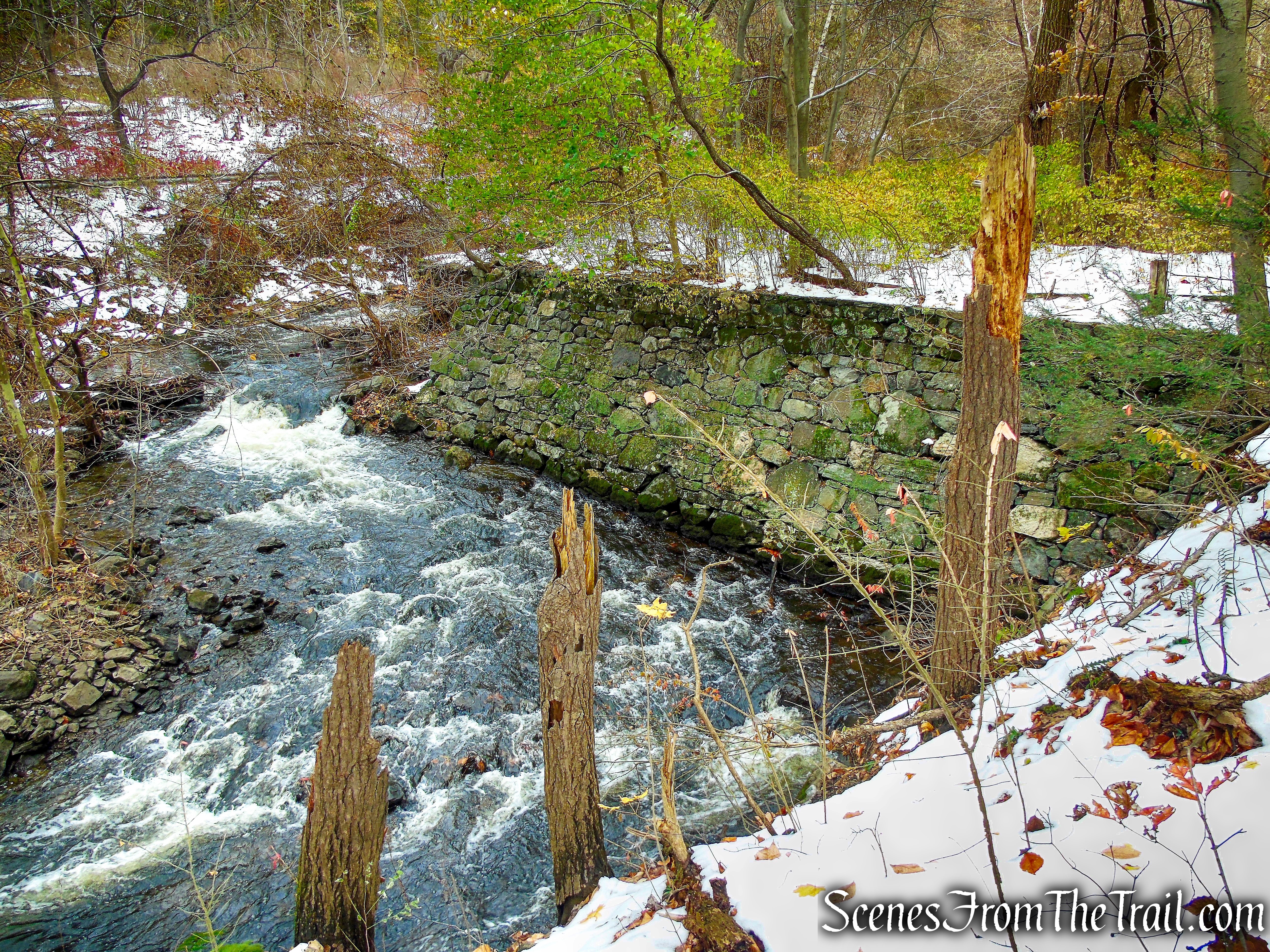 ruined dam on Furnace Brook - McAndrews Estate