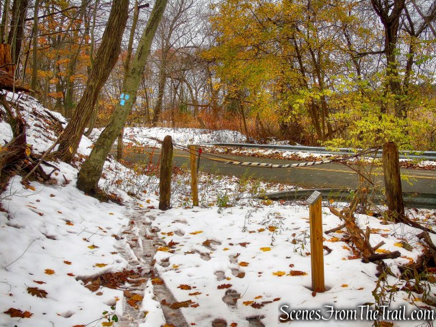 terminus of Blue Trail - McAndrews Estate