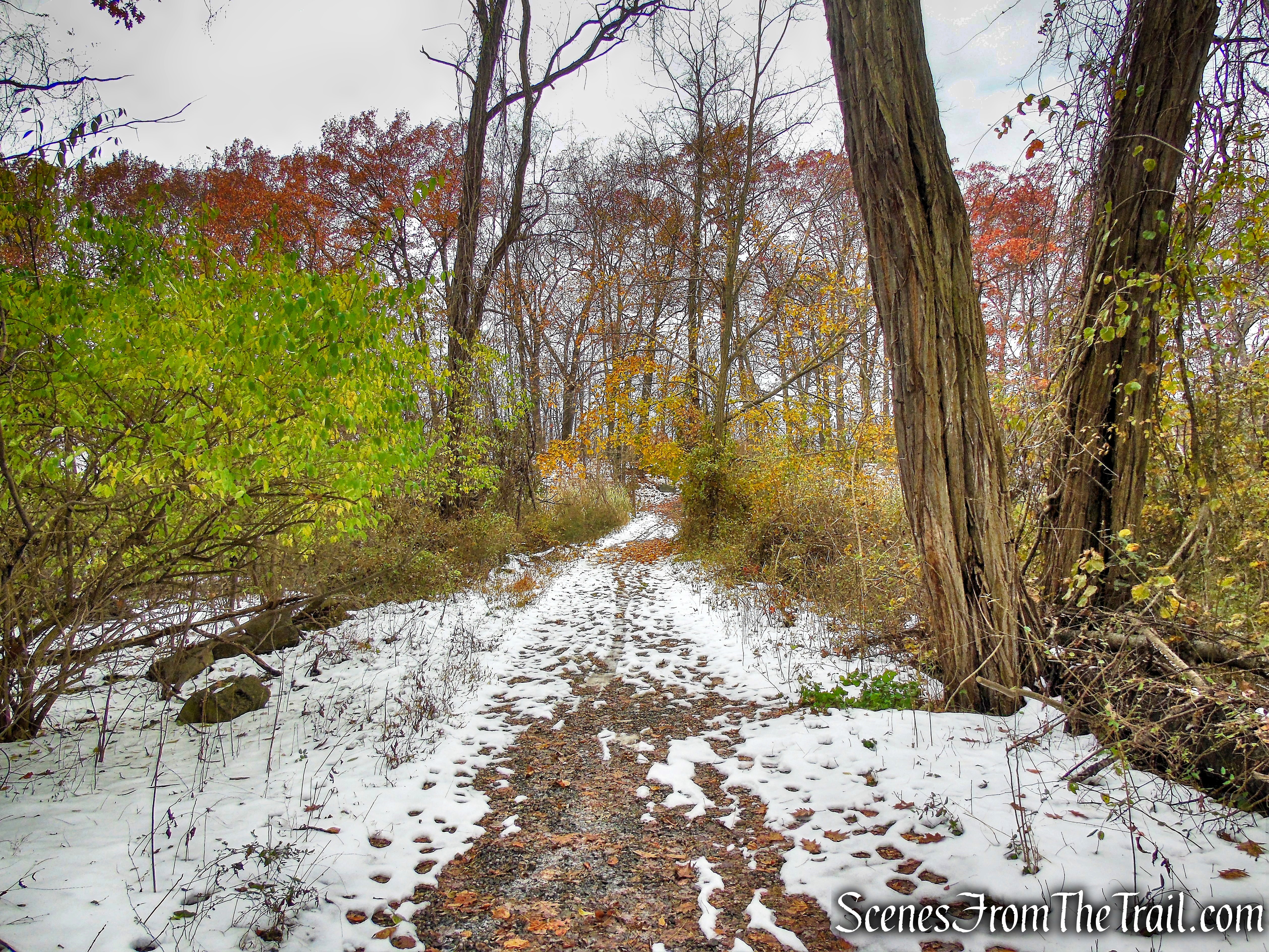 Oscawana Island Nature Preserve