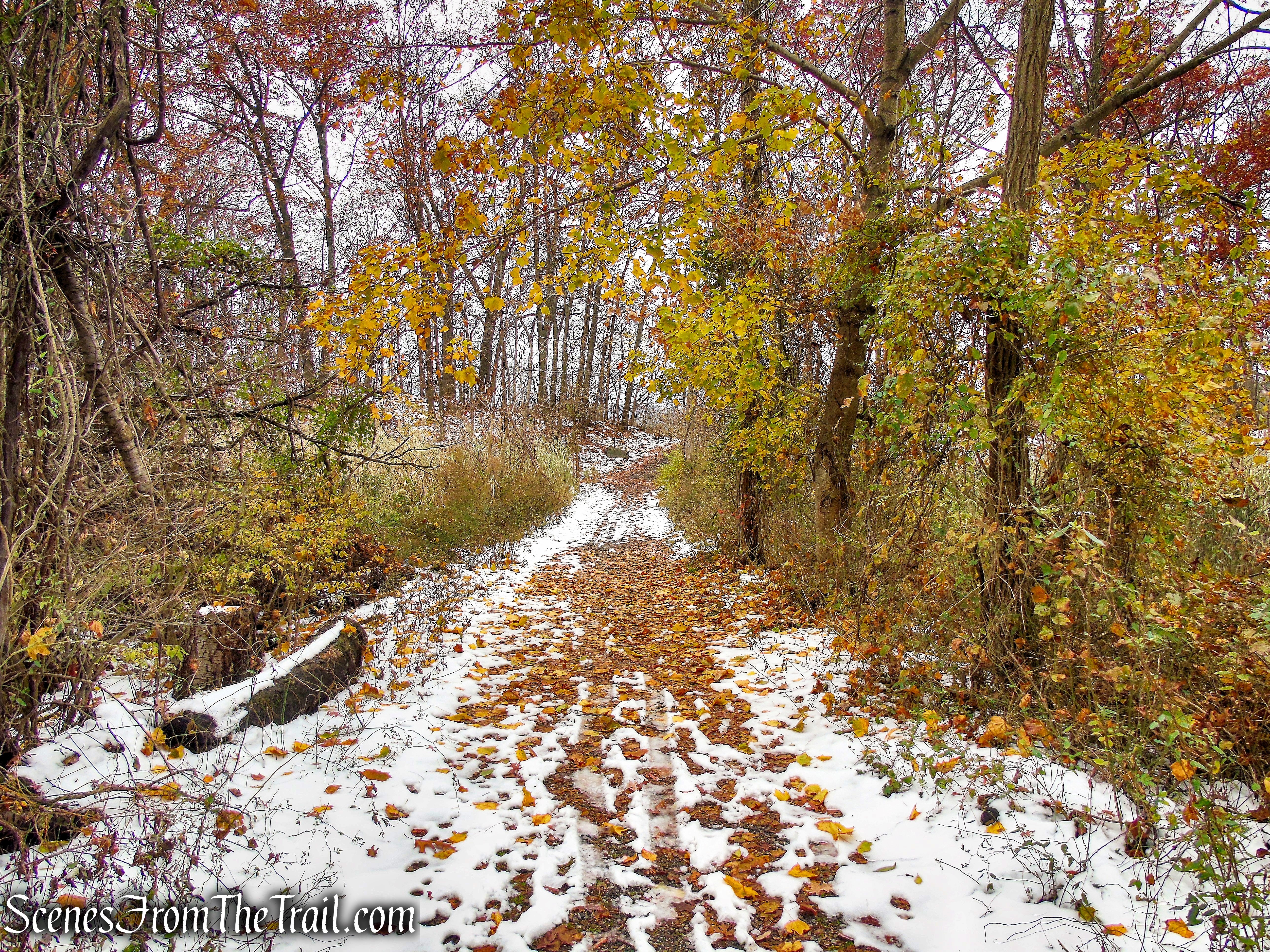 Oscawana Island Nature Preserve