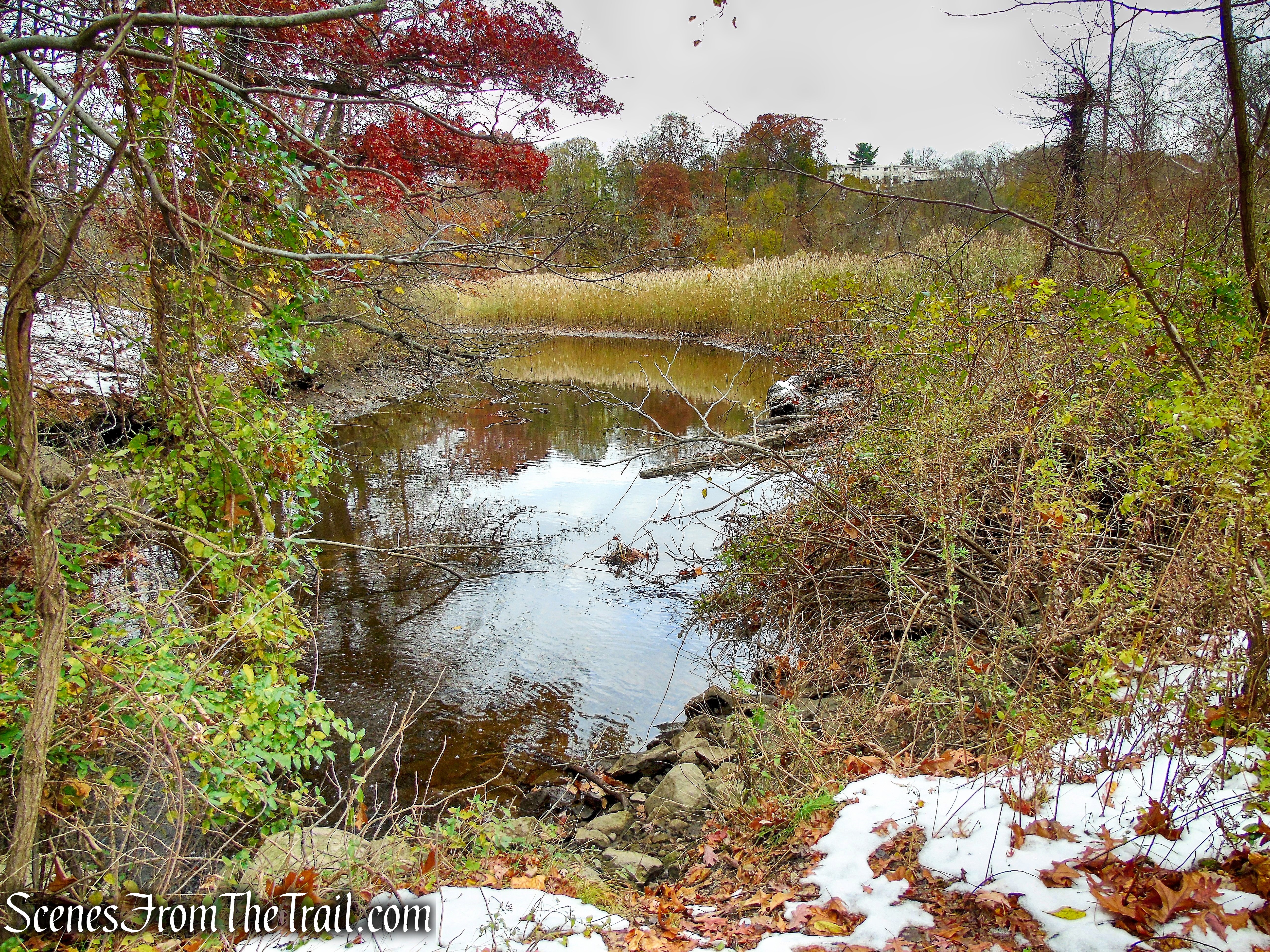 Oscawana Island Nature Preserve