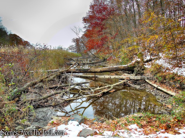 Oscawana Island Nature Preserve