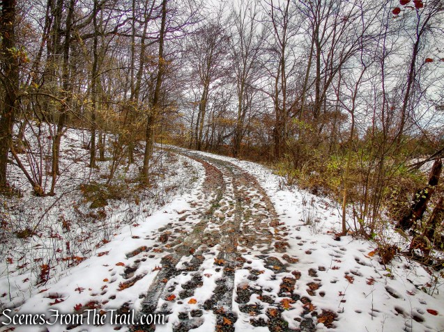 Oscawana Island Nature Preserve