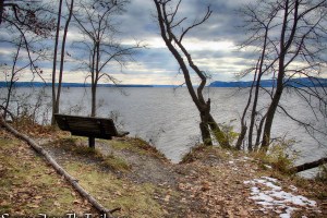 Oscawana Island Nature Preserve