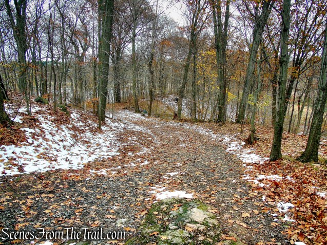 Oscawana Island Nature Preserve