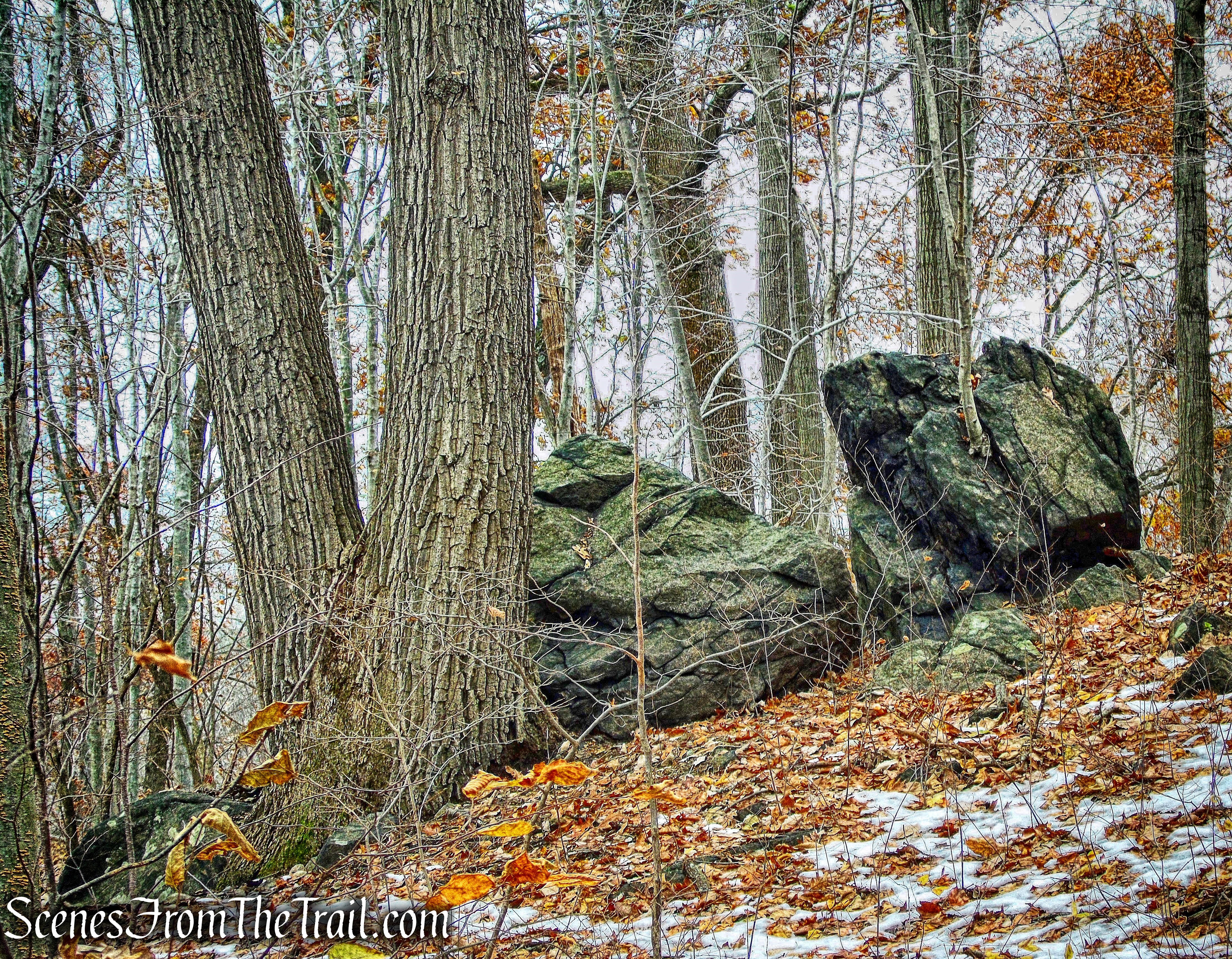 Oscawana Island Nature Preserve