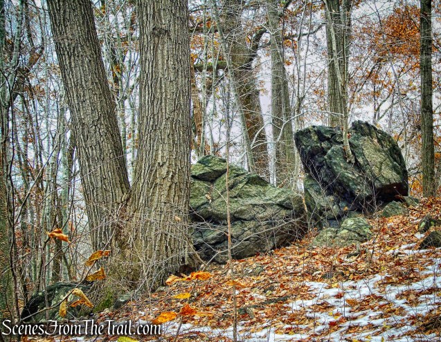 Oscawana Island Nature Preserve