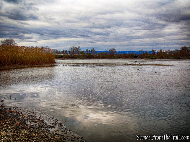 Oscawana Island Nature Preserve