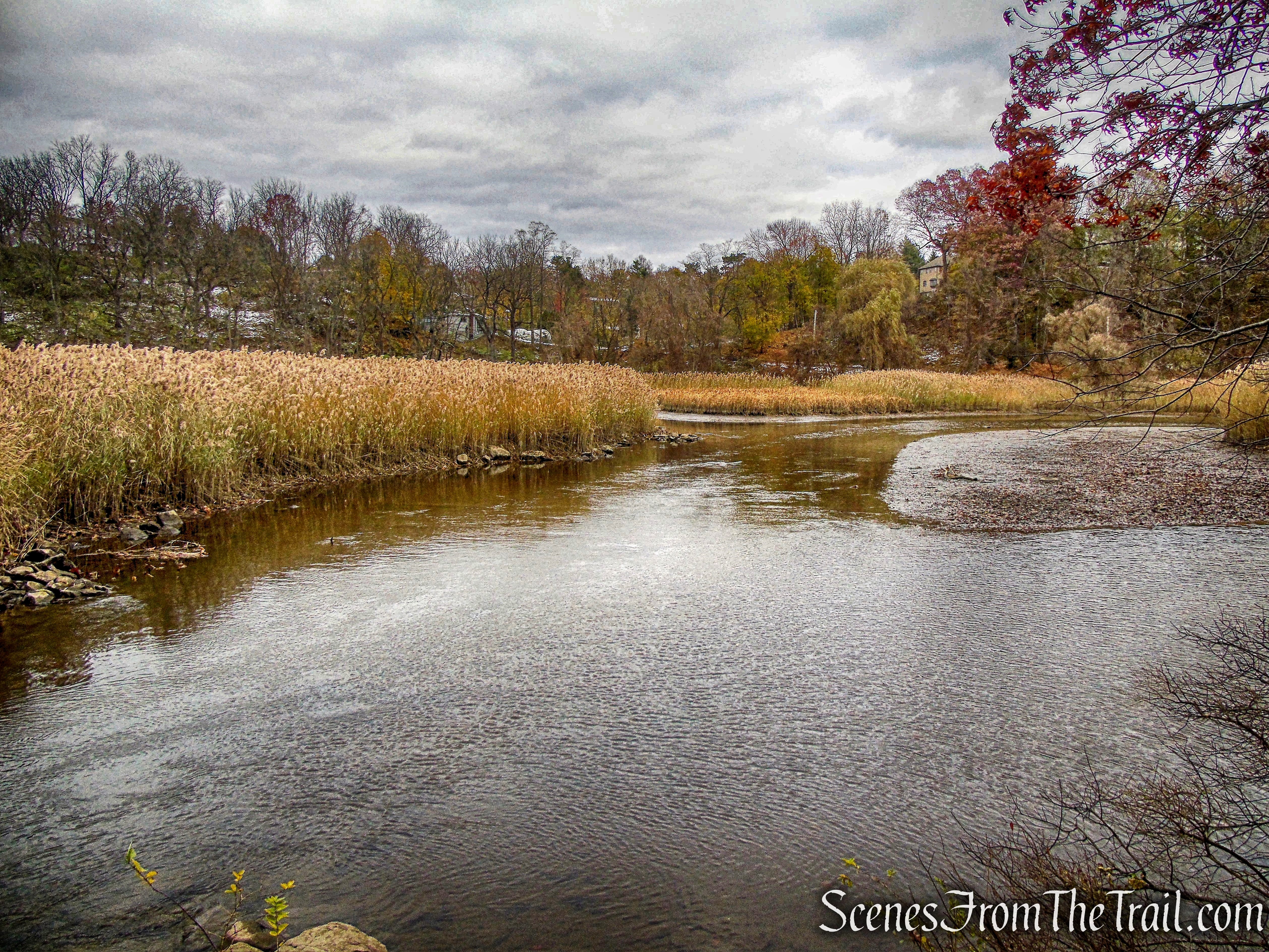 Oscawana Island Nature Preserve