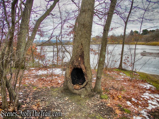 Oscawana Island Nature Preserve