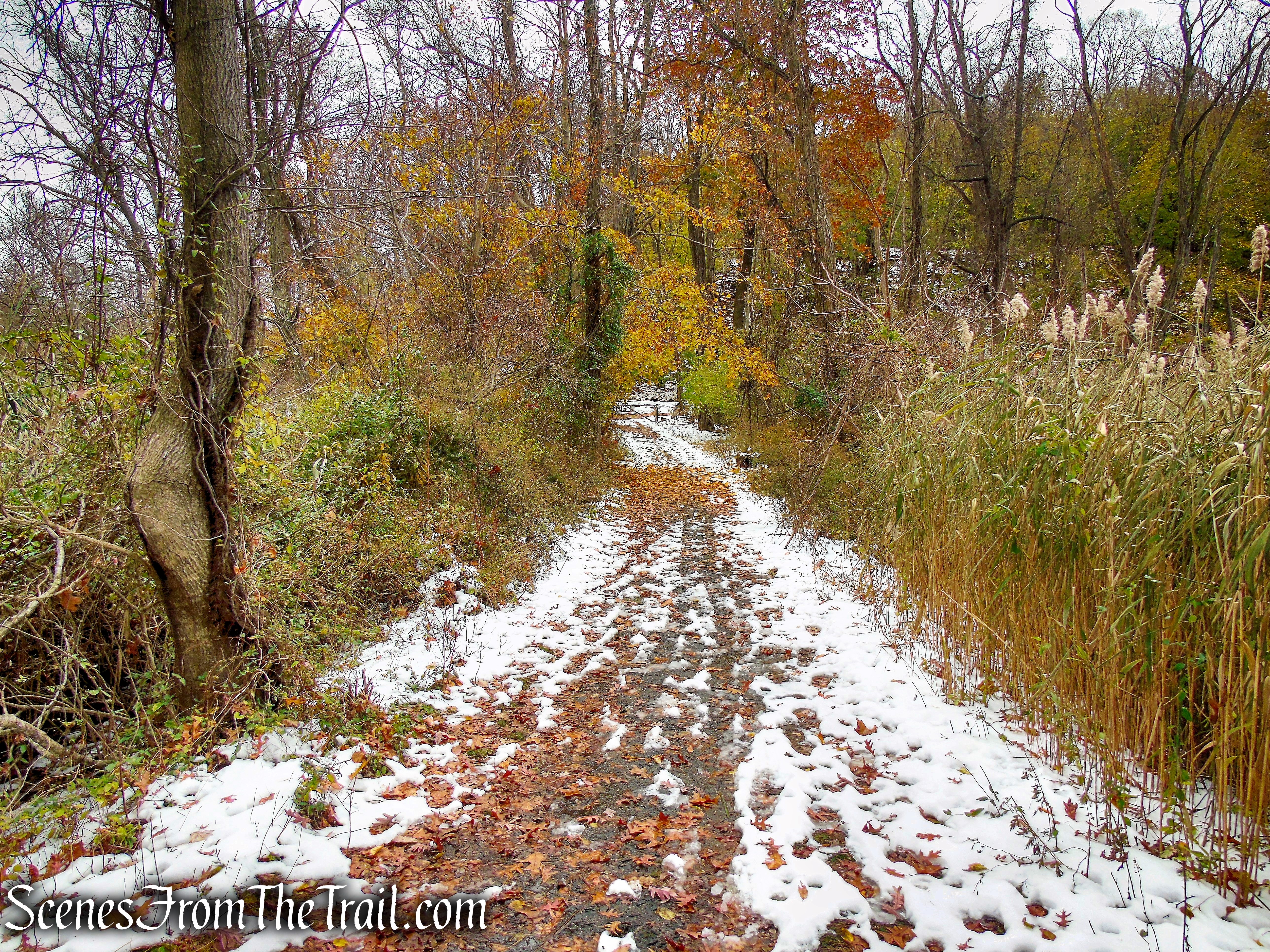 Oscawana Island Nature Preserve