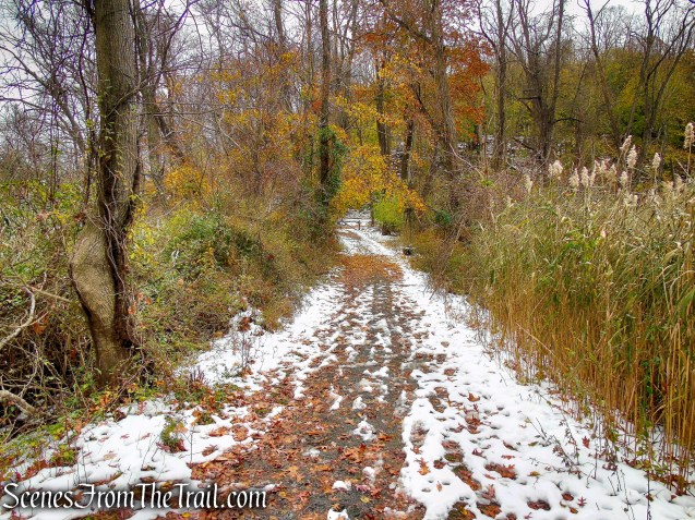 Oscawana Island Nature Preserve