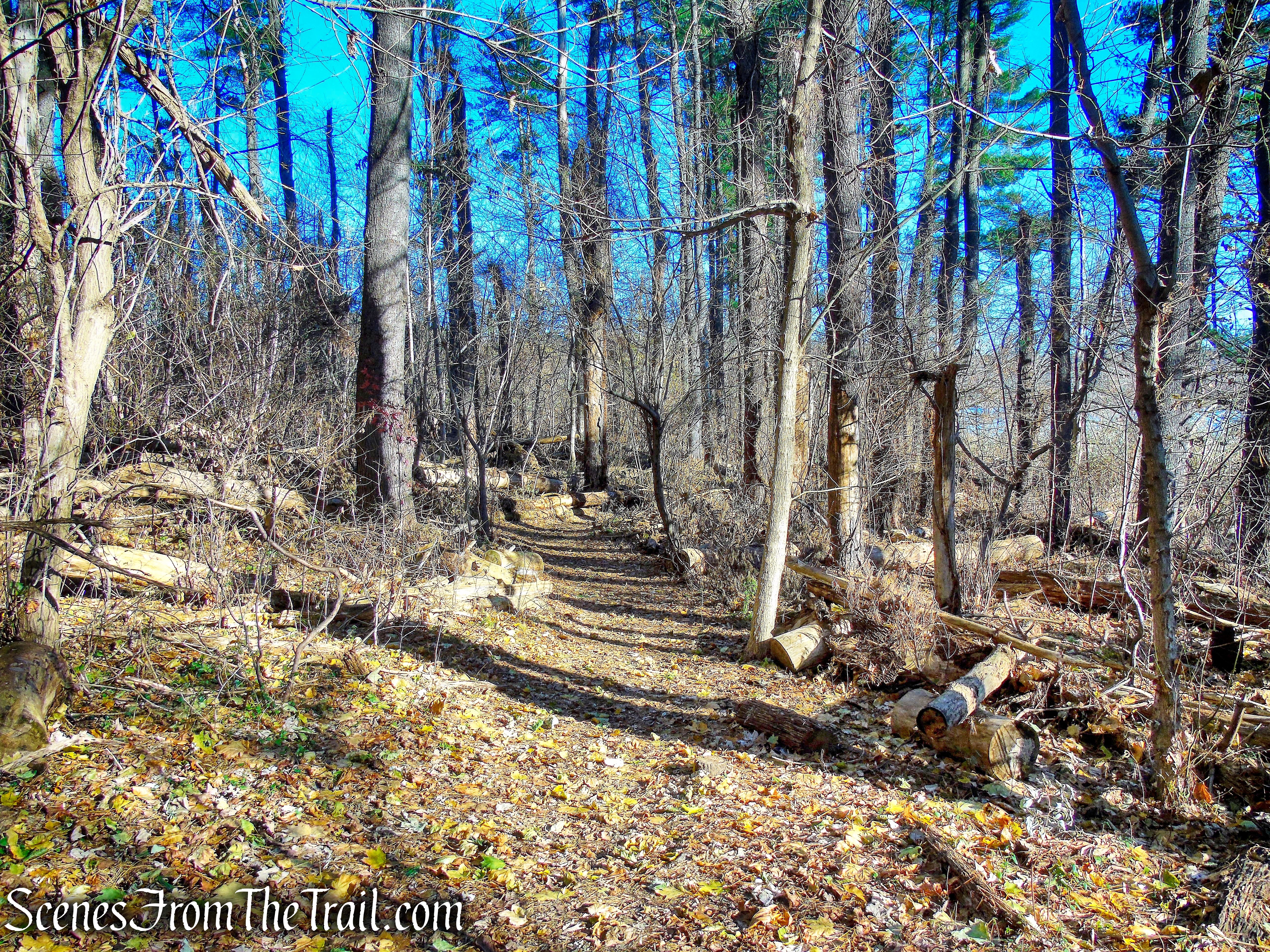 Blue Trail - Tarrytown Lakes