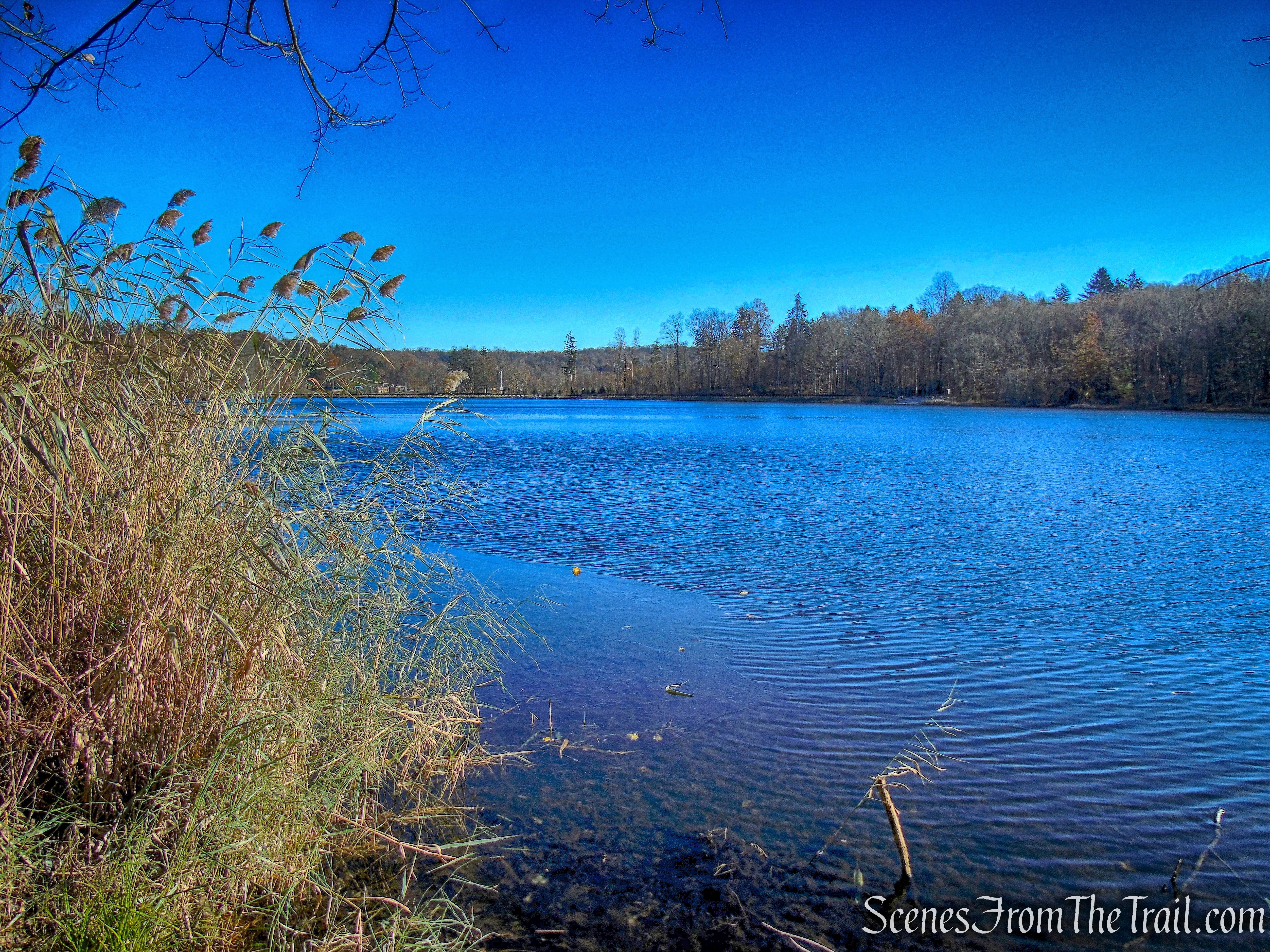 Blue Trail - Tarrytown Lakes 