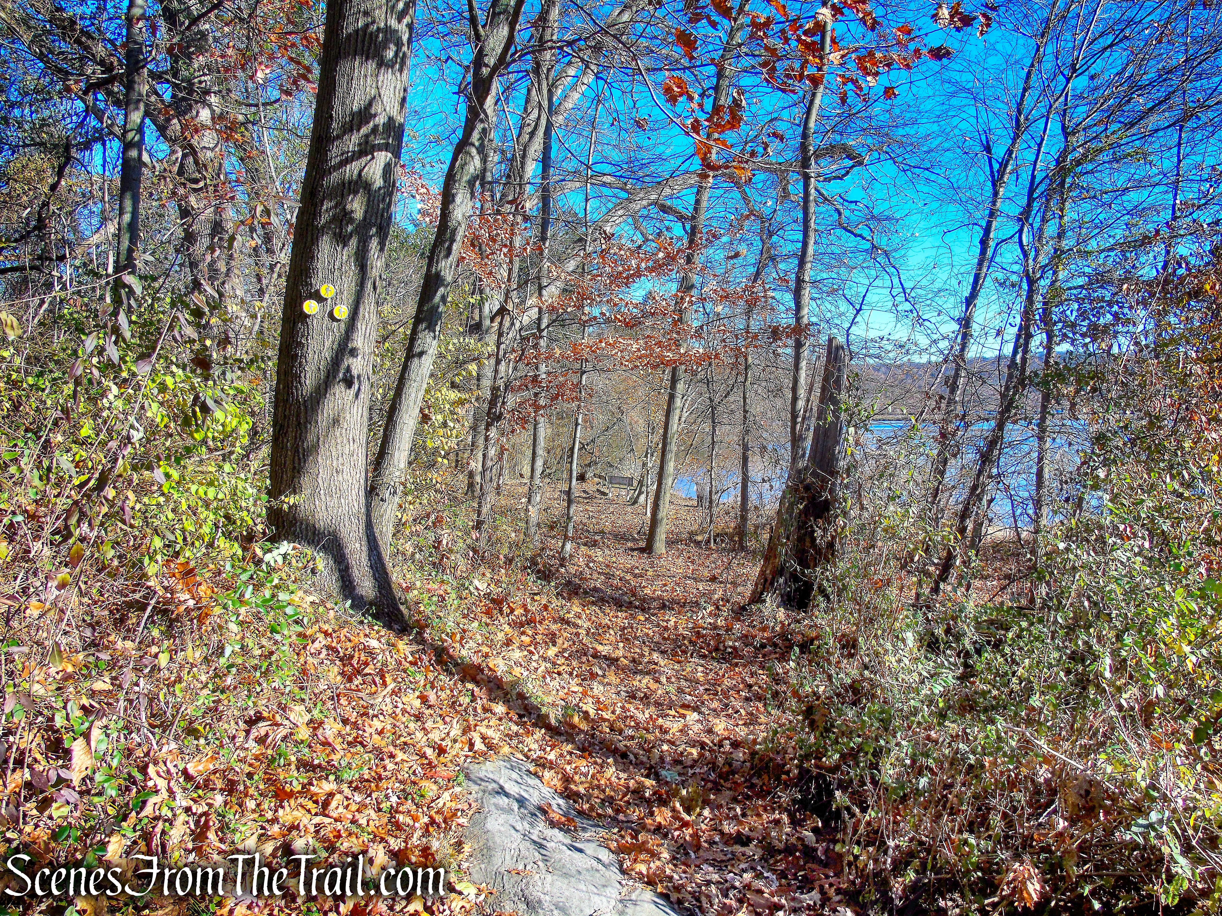 Yellow Trail - Tarrytown Lakes