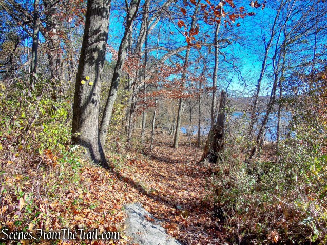 Yellow Trail - Tarrytown Lakes