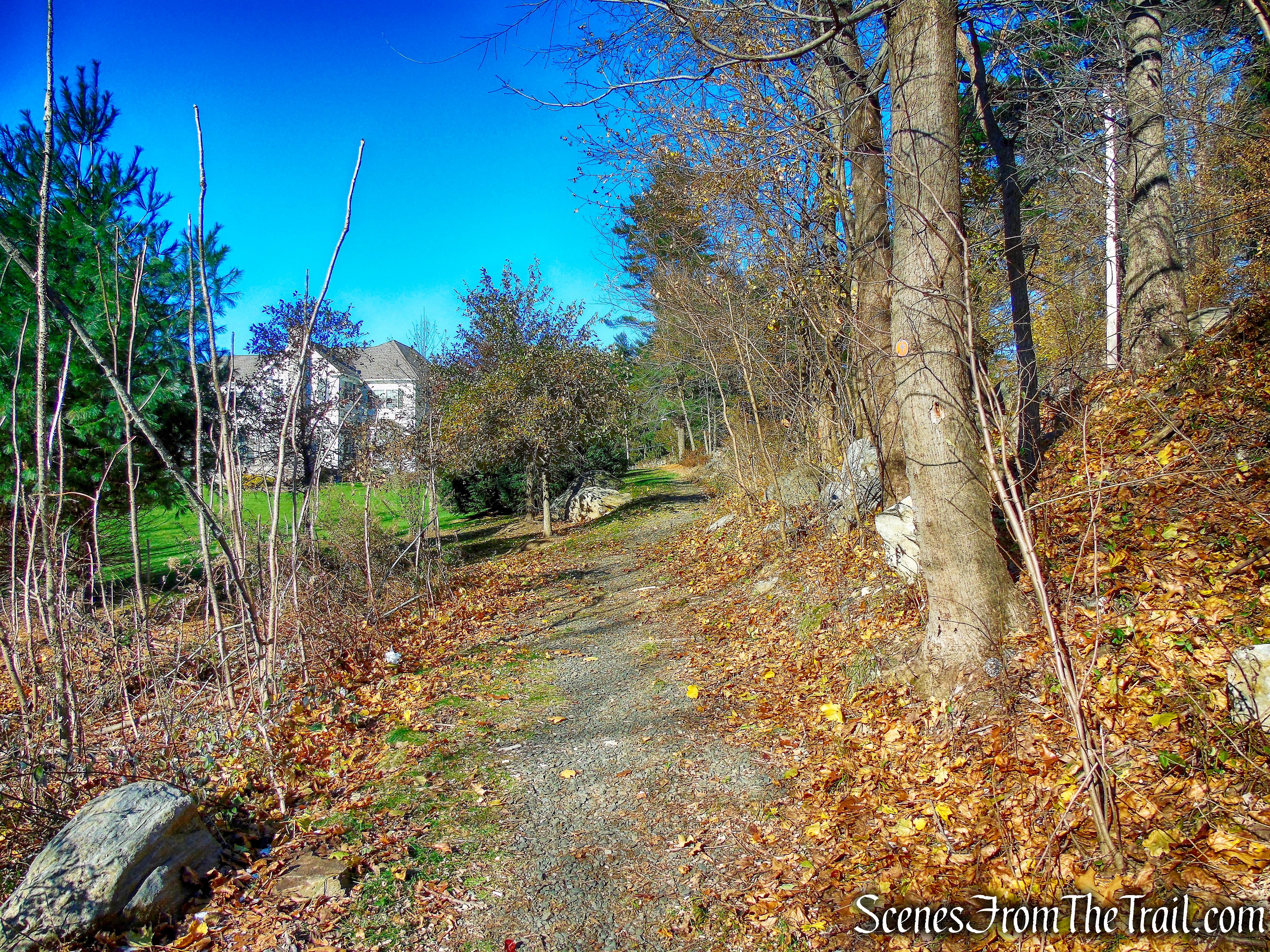 Andre Brook Trail