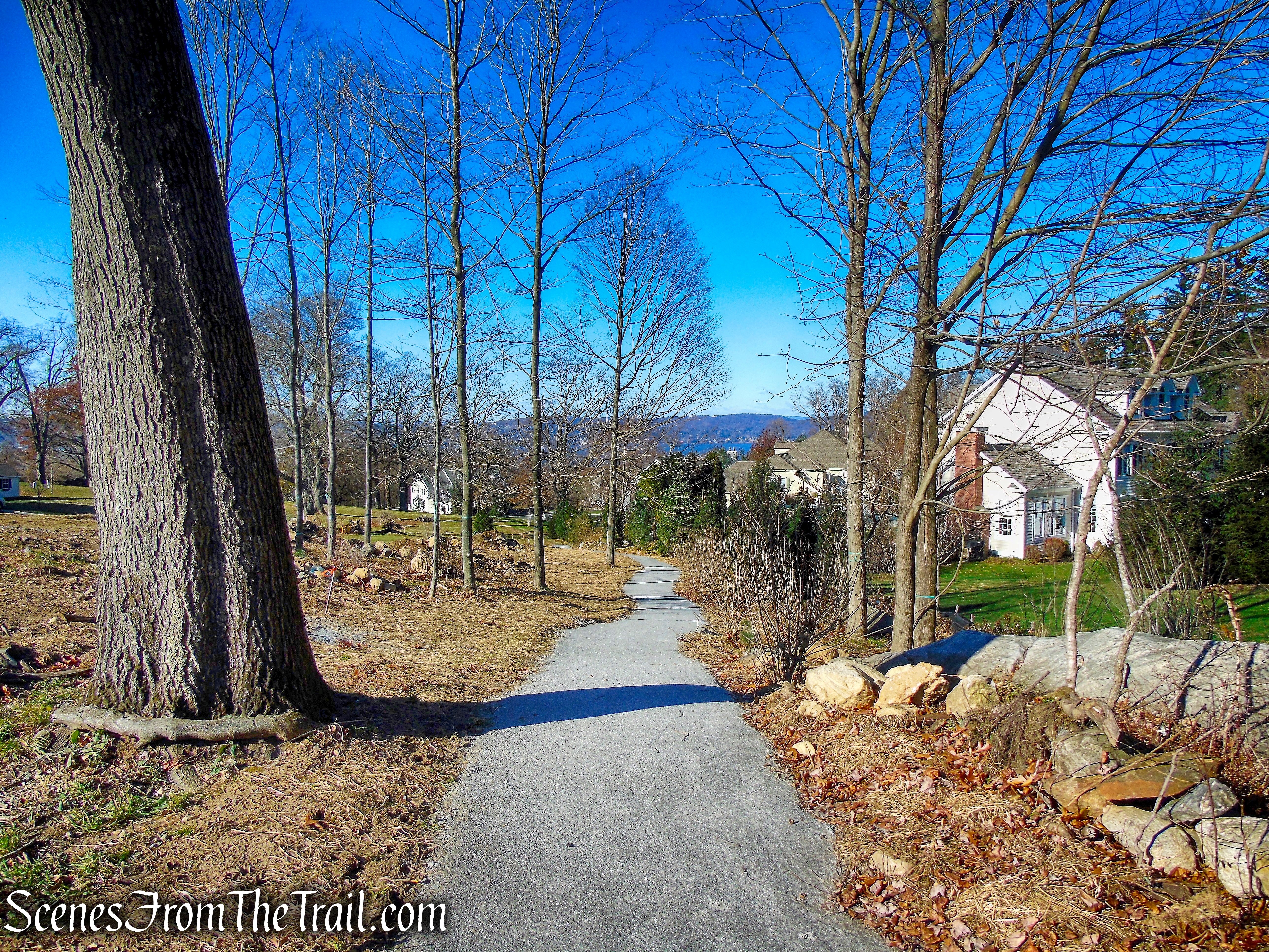Andre Brook Trail