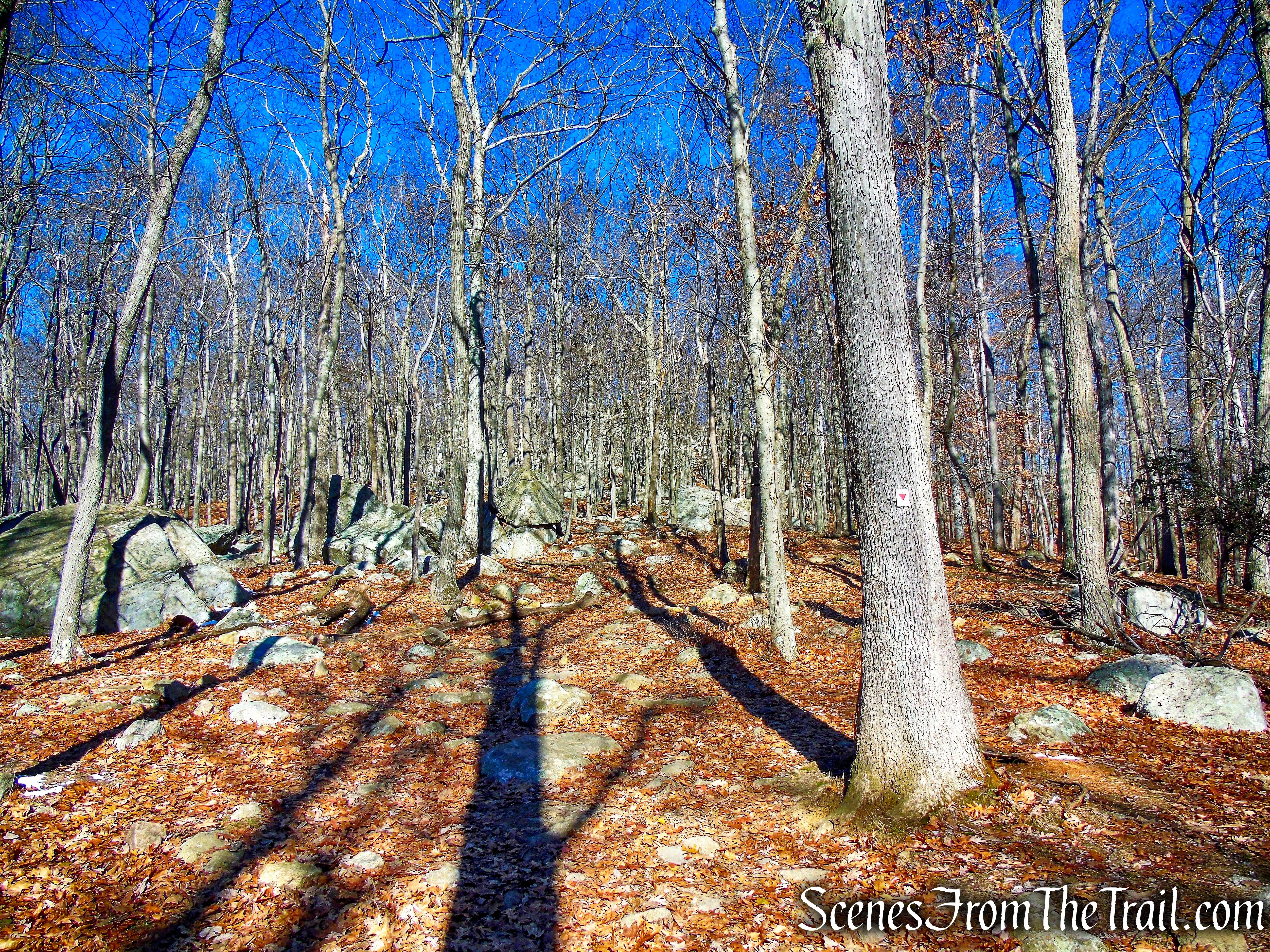 Arden-Surebridge (A-SB) Trail