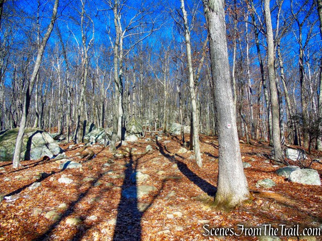 Arden-Surebridge (A-SB) Trail
