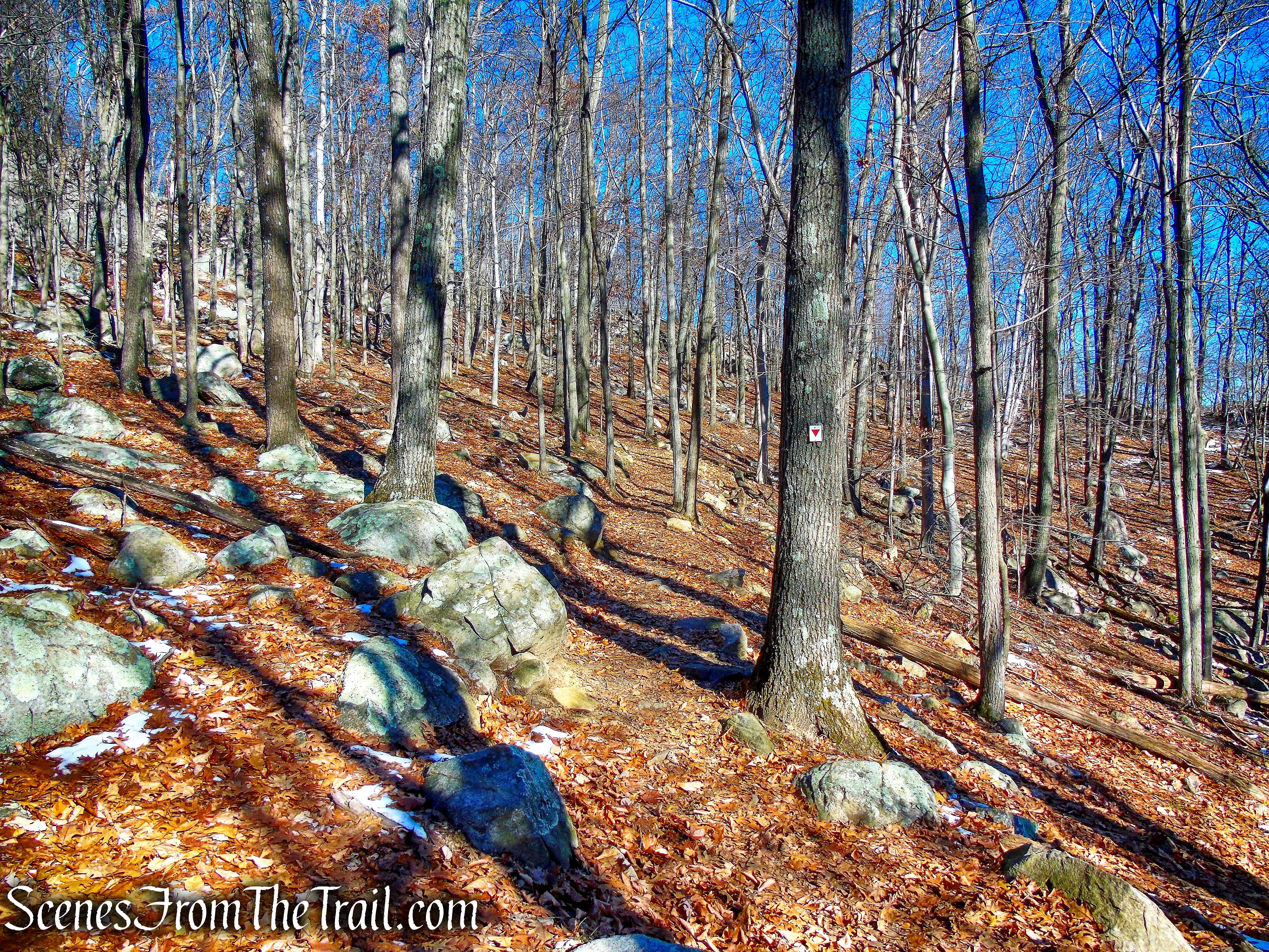 Arden-Surebridge (A-SB) Trail