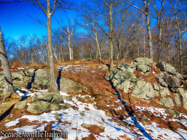 bushwack on old ASB Trail