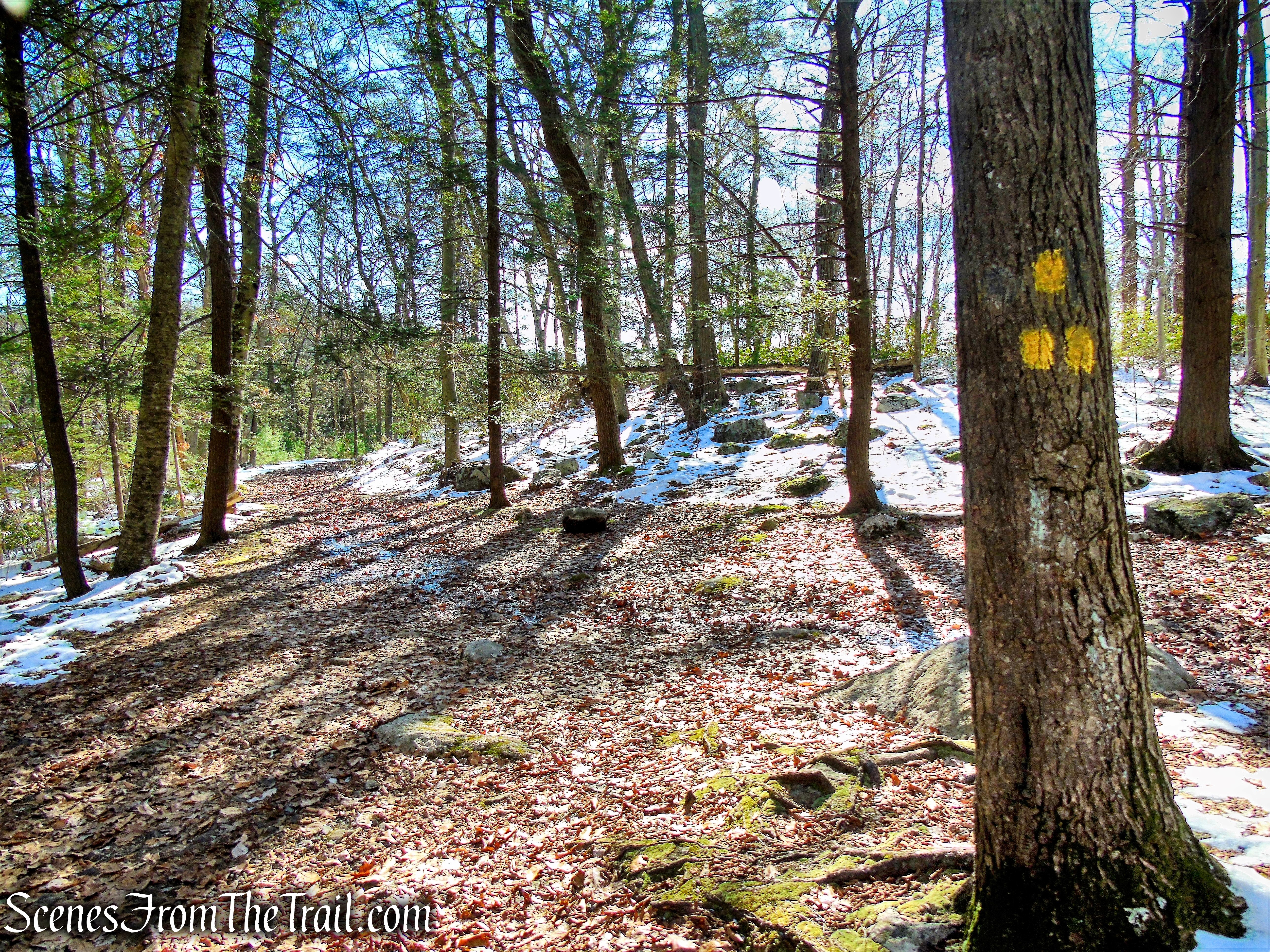 Dunning Trail