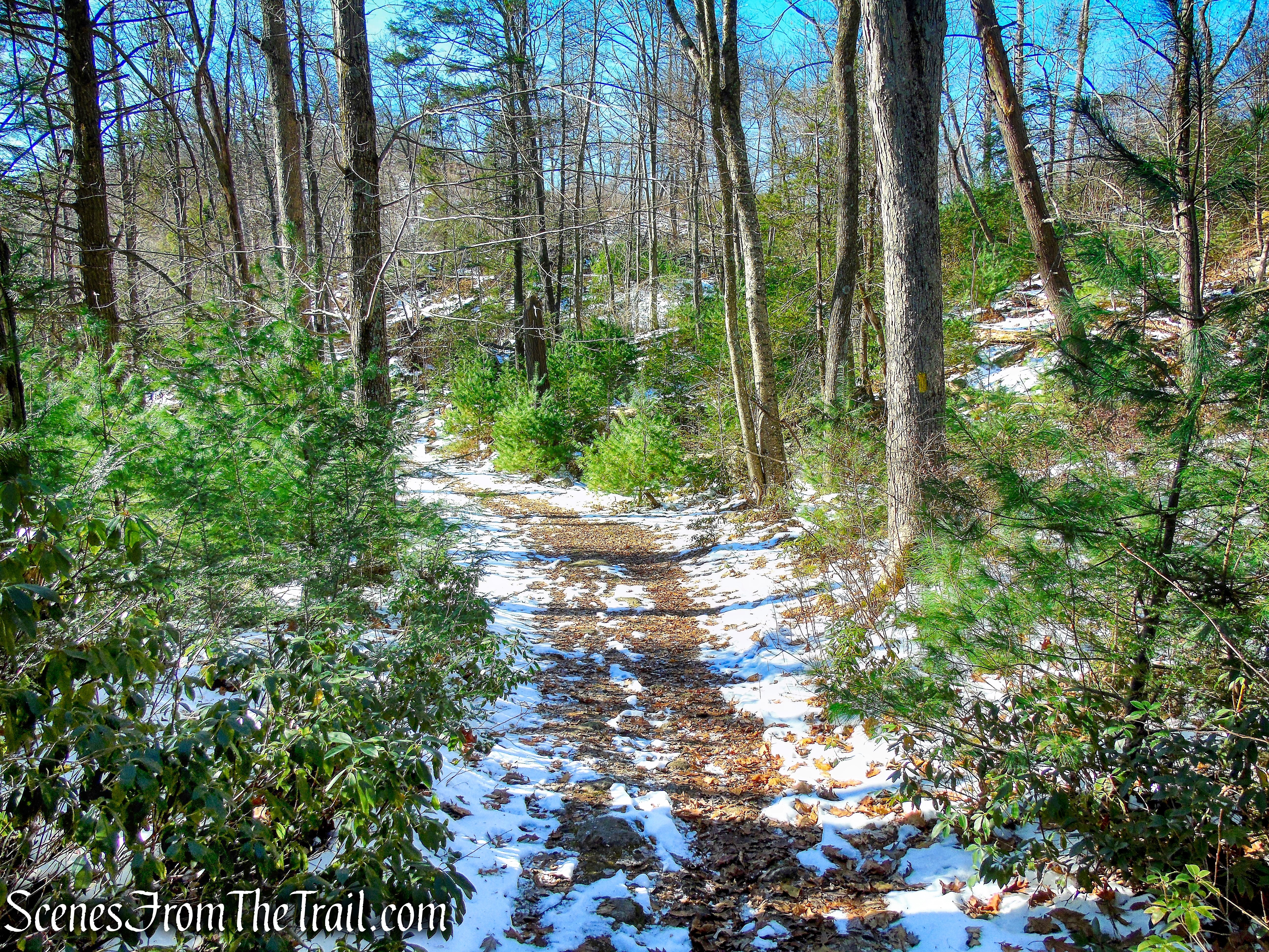 Dunning Trail