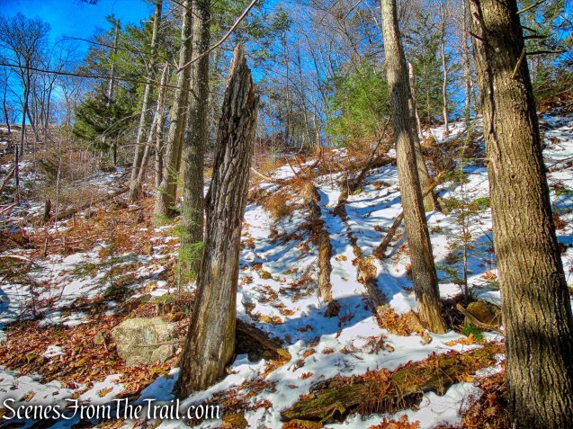 unmarked footpath to Pine Swamp Mine