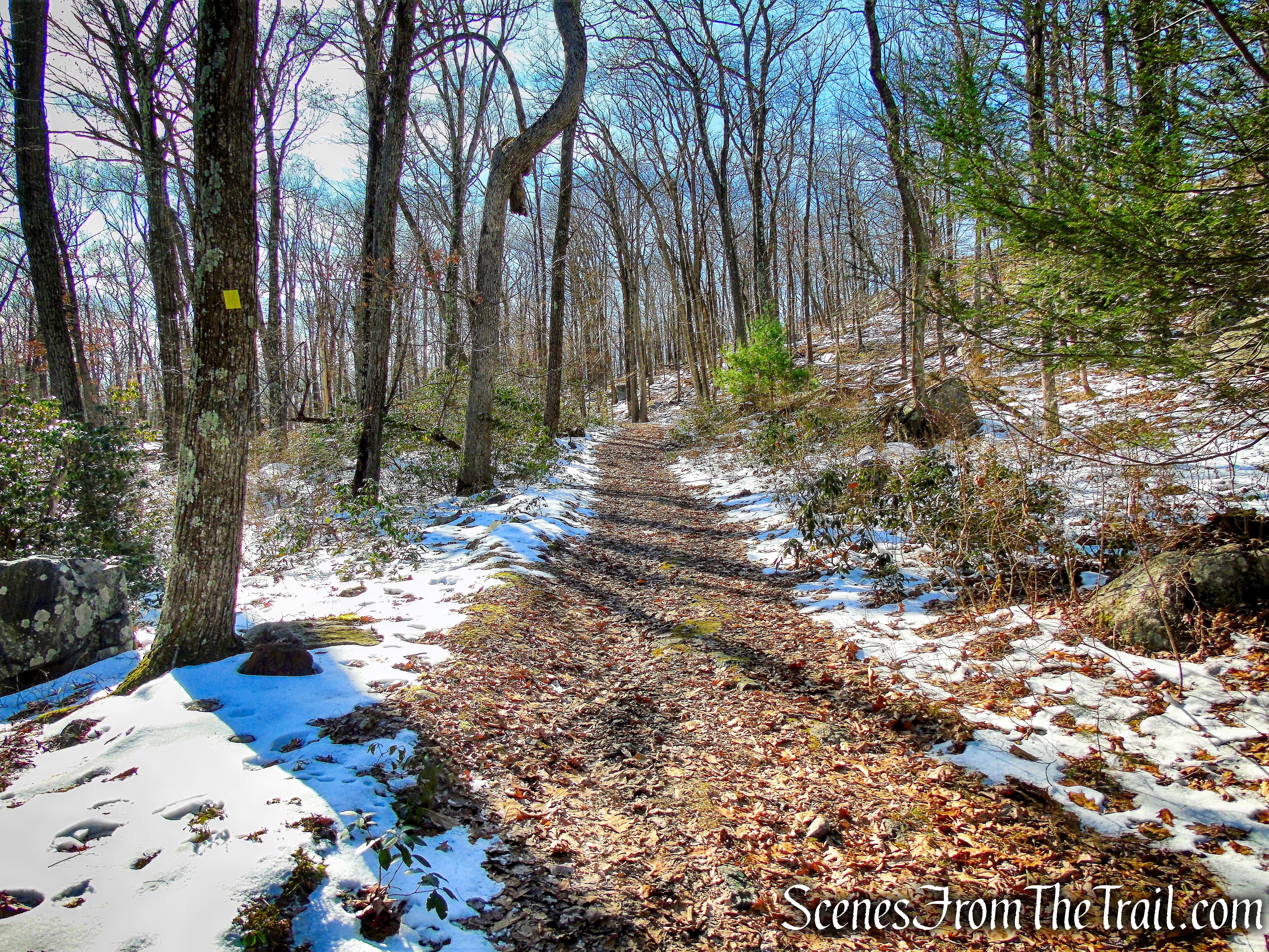 Dunning Trail