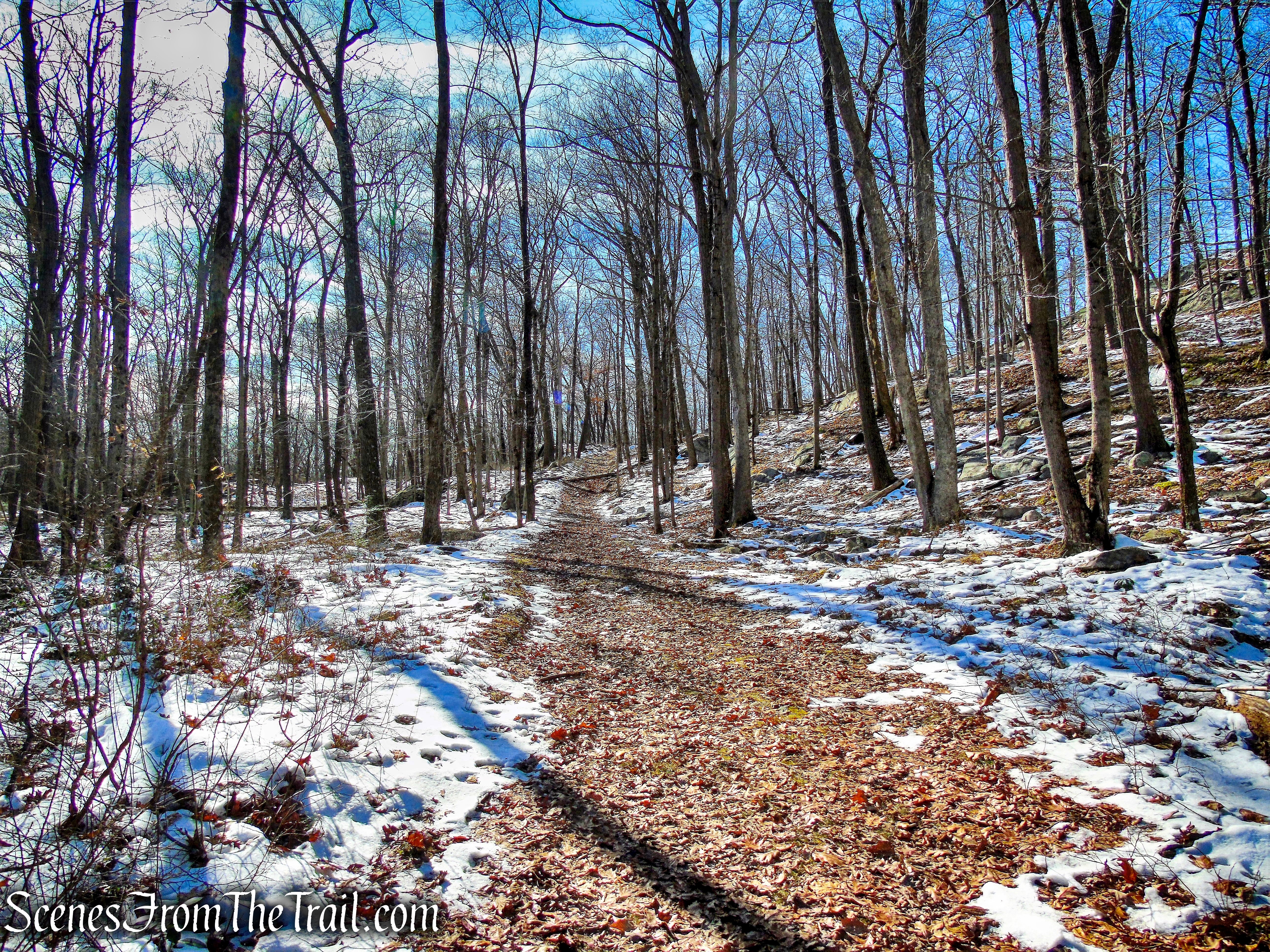 Dunning Trail