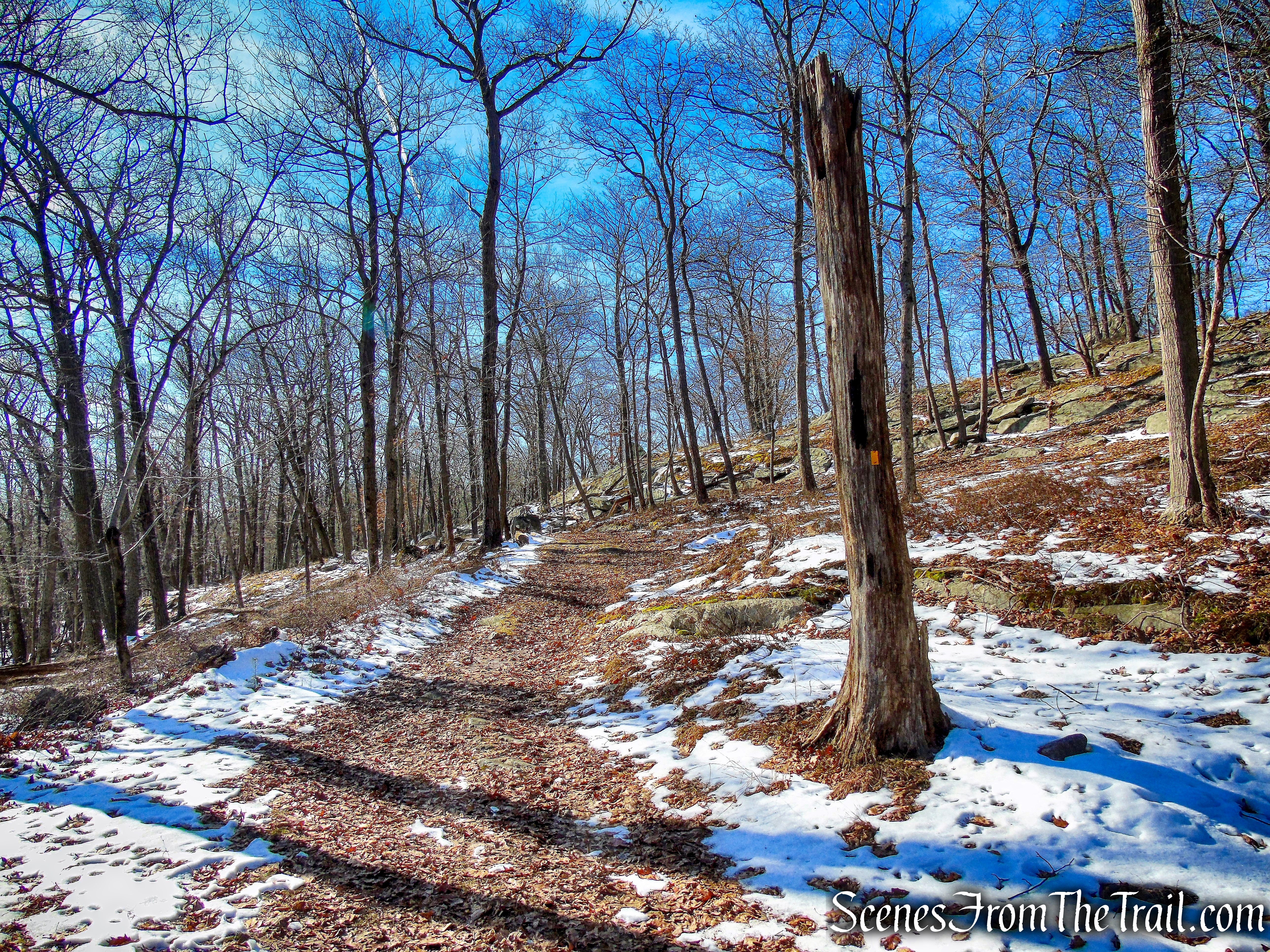 Dunning Trail