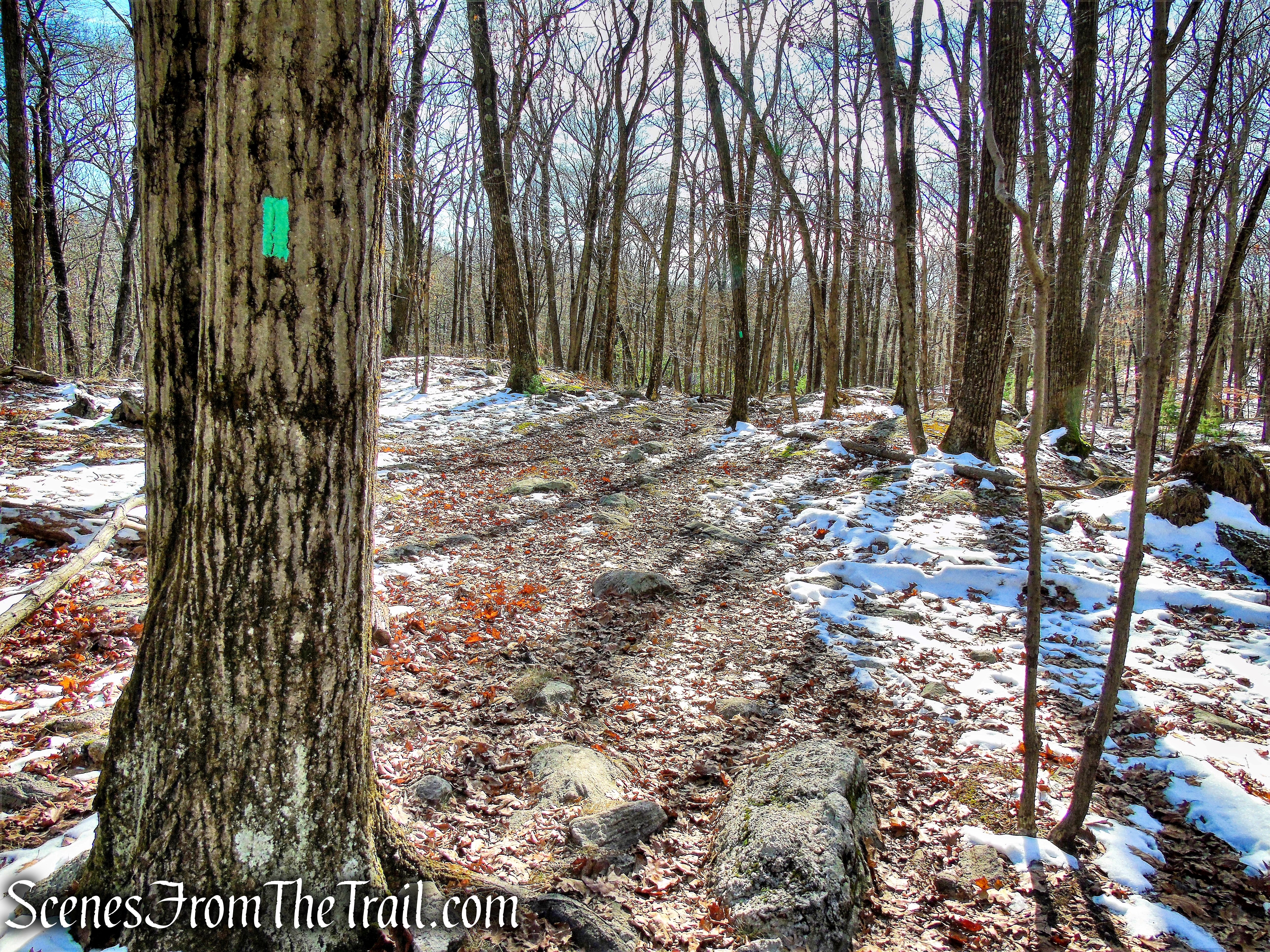 Long Path