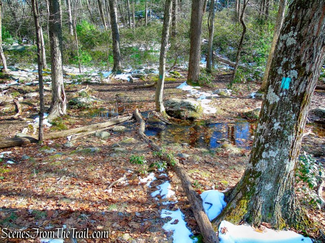 stream crossing - Long Path