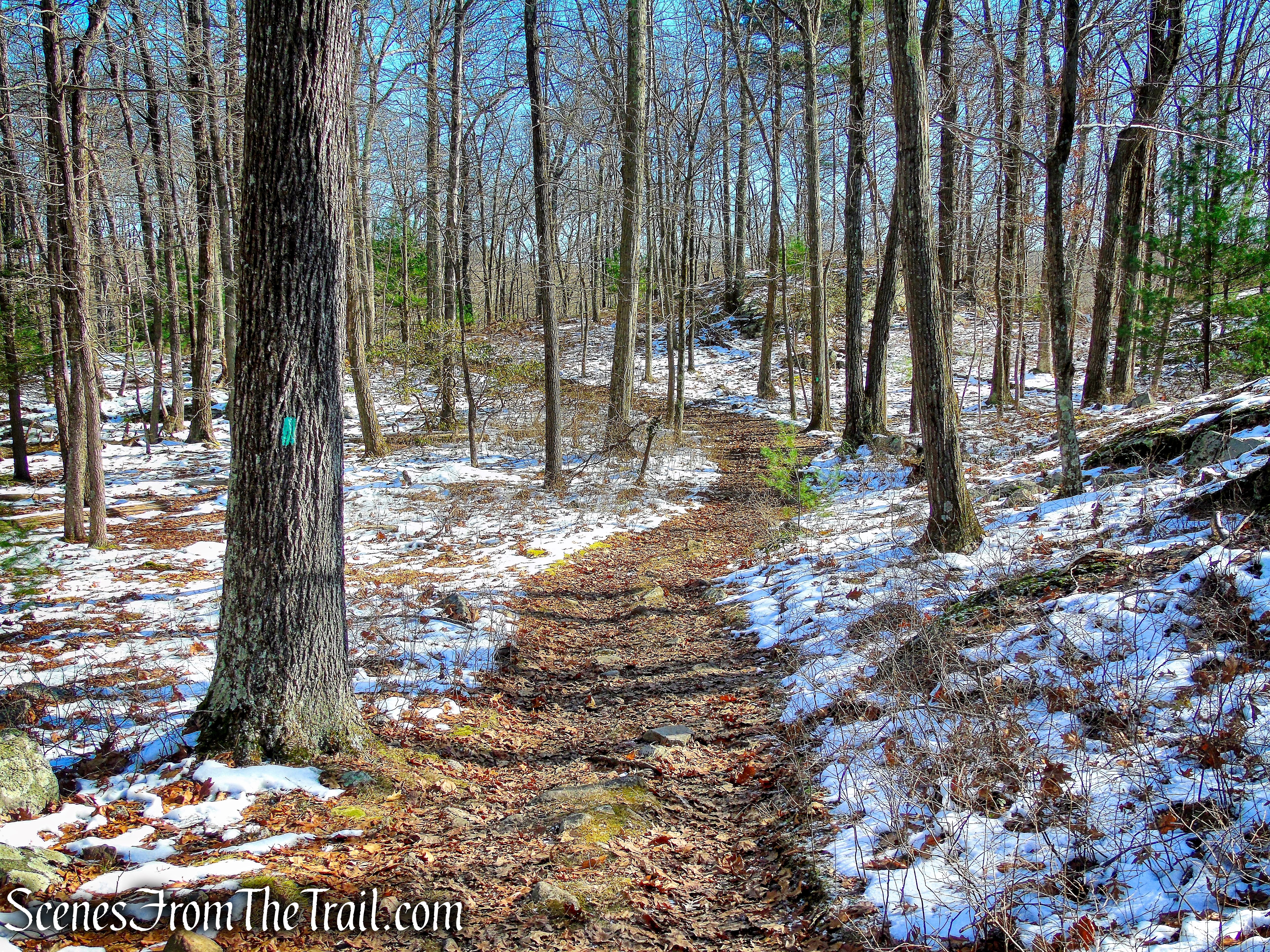 Long Path