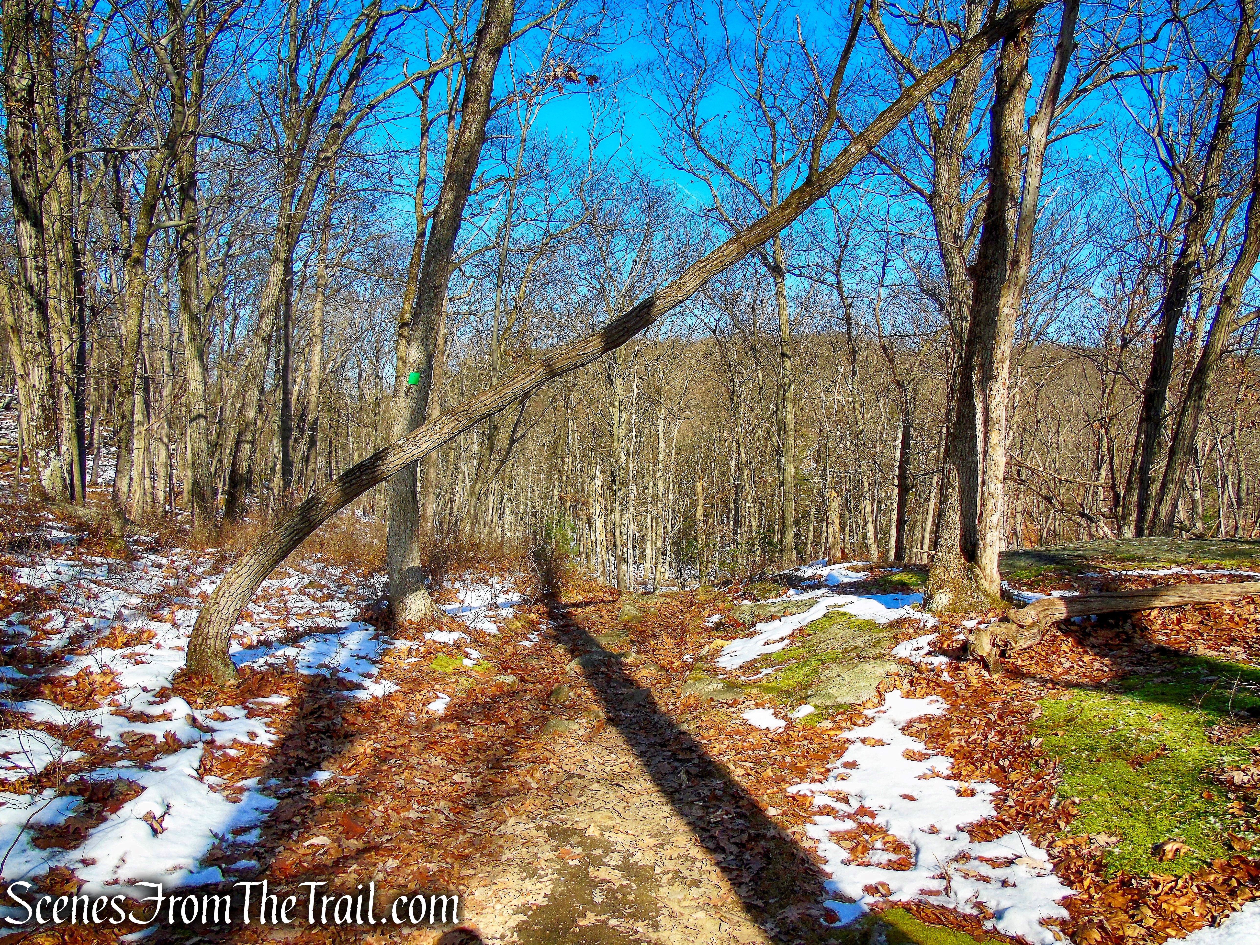 Long Path