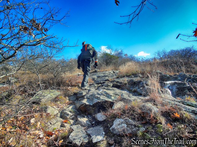 Lambs Hill - Fishkill Ridge Conservation Area