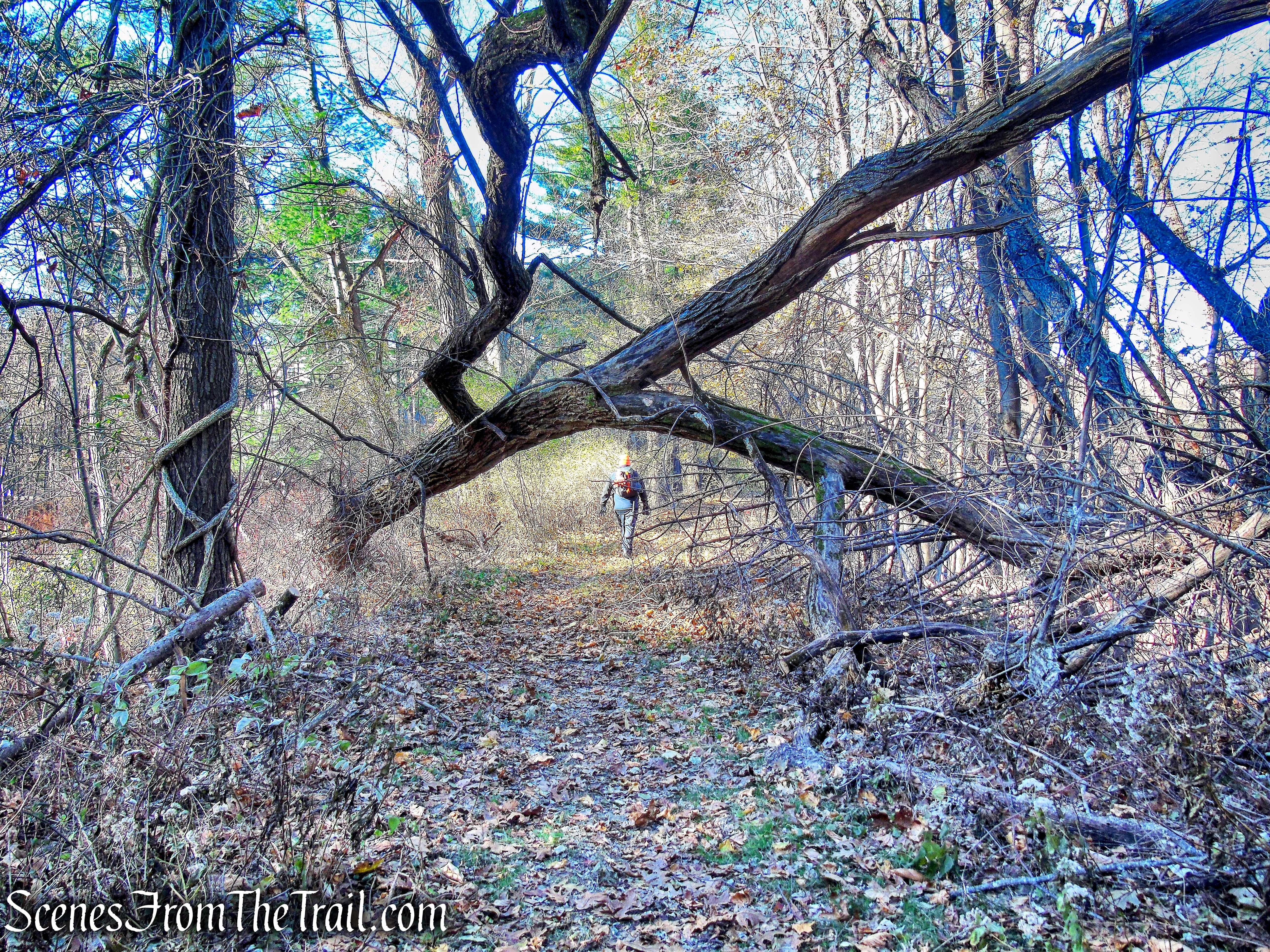 Tarrytown Lakes Trails