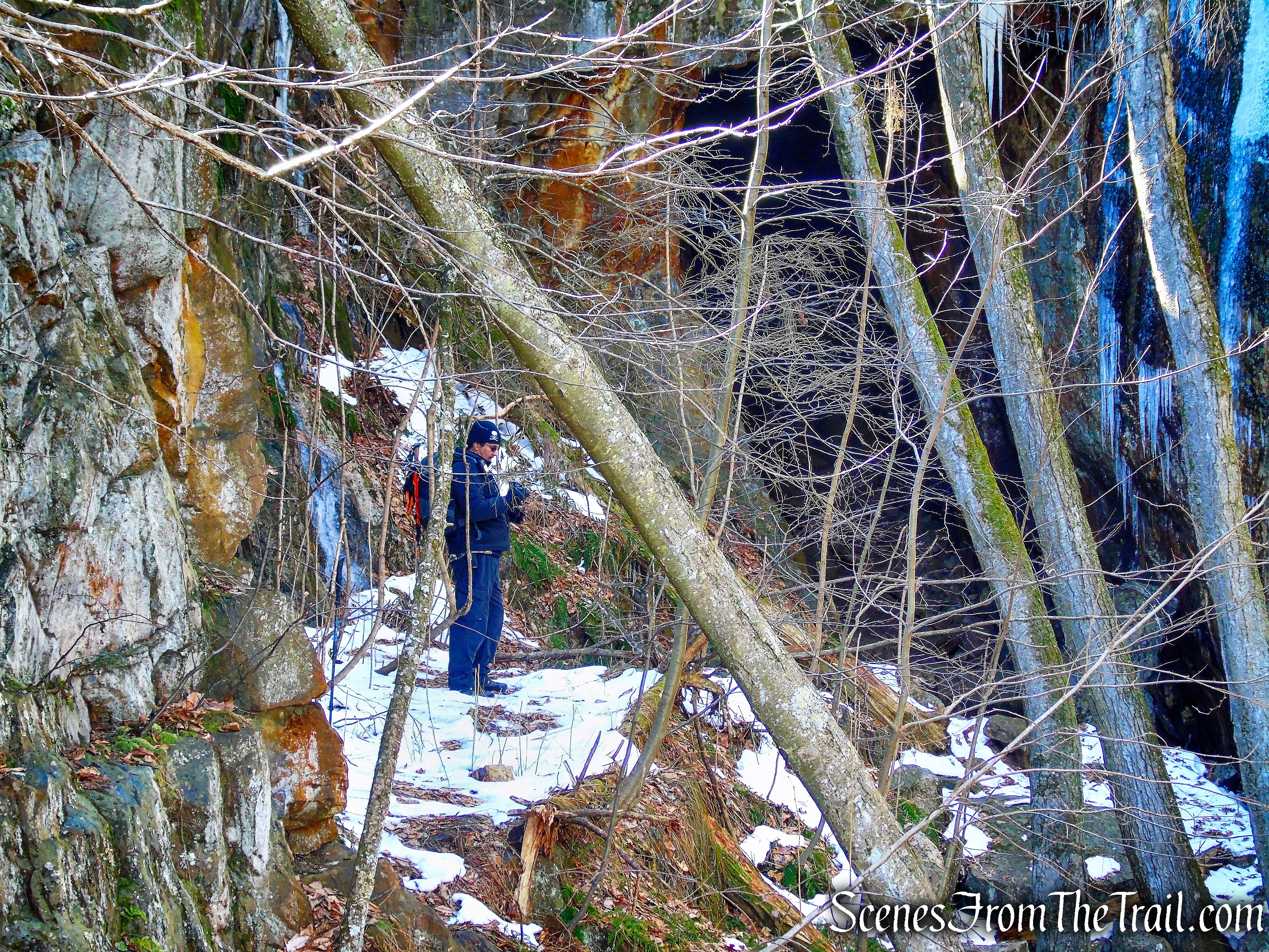 Pine Swamp Short Loop – Harriman State Park